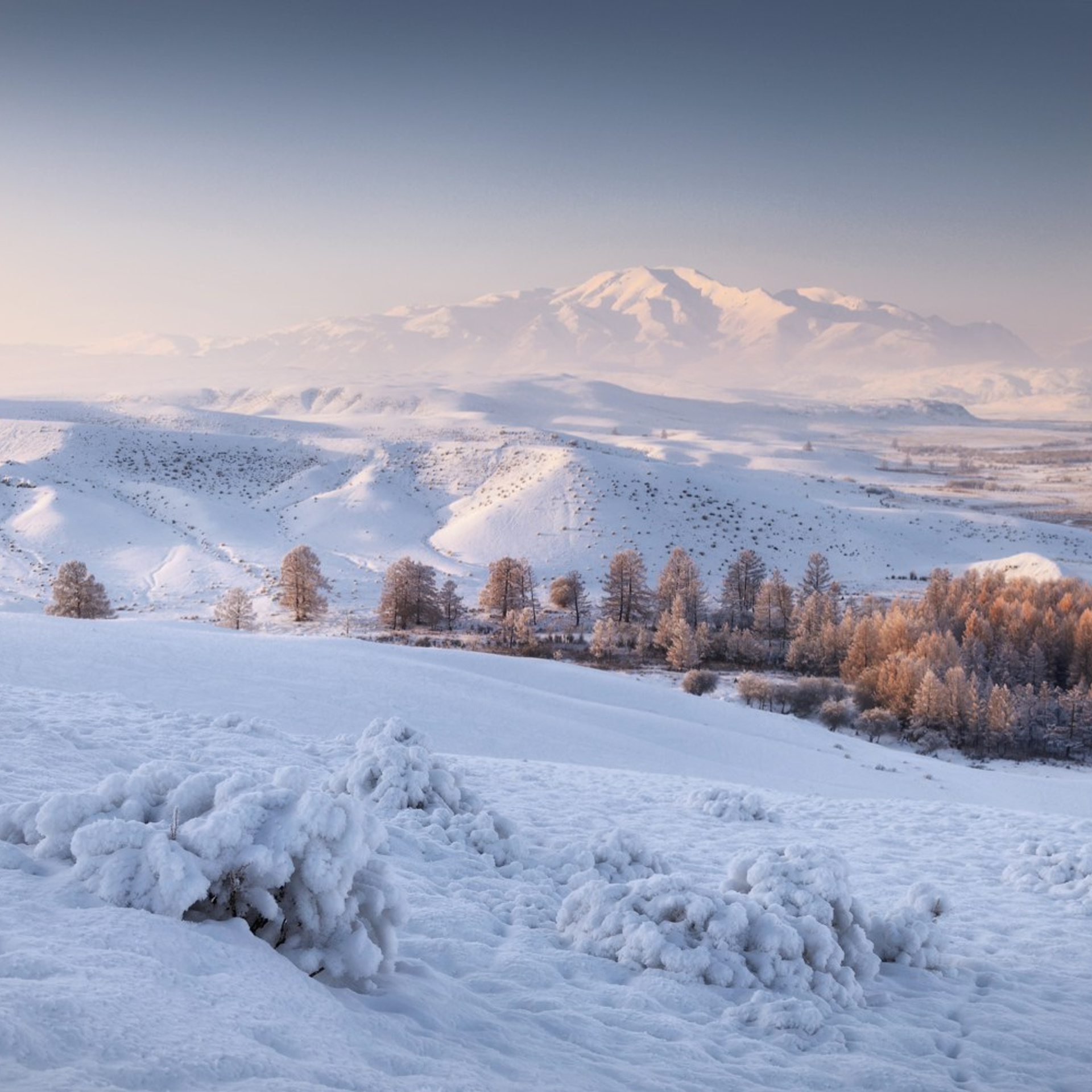Фототур на Алтай в декабре «Безлюдный Алтай»