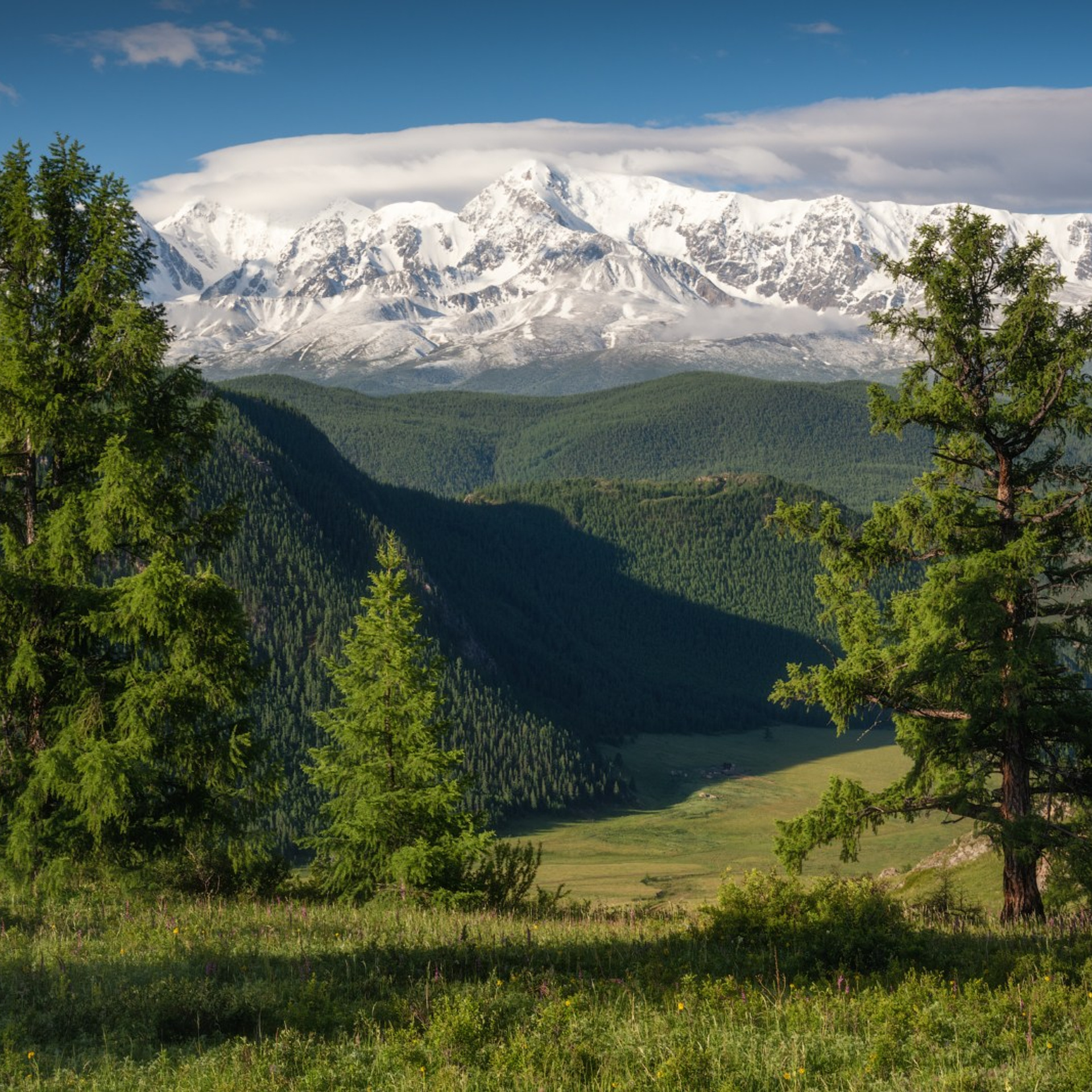 Фототур по Алтаю — Огоньки среднегорья и долина реки Аргут. Профессиональный пейзажный фотограф Алёна Рубан