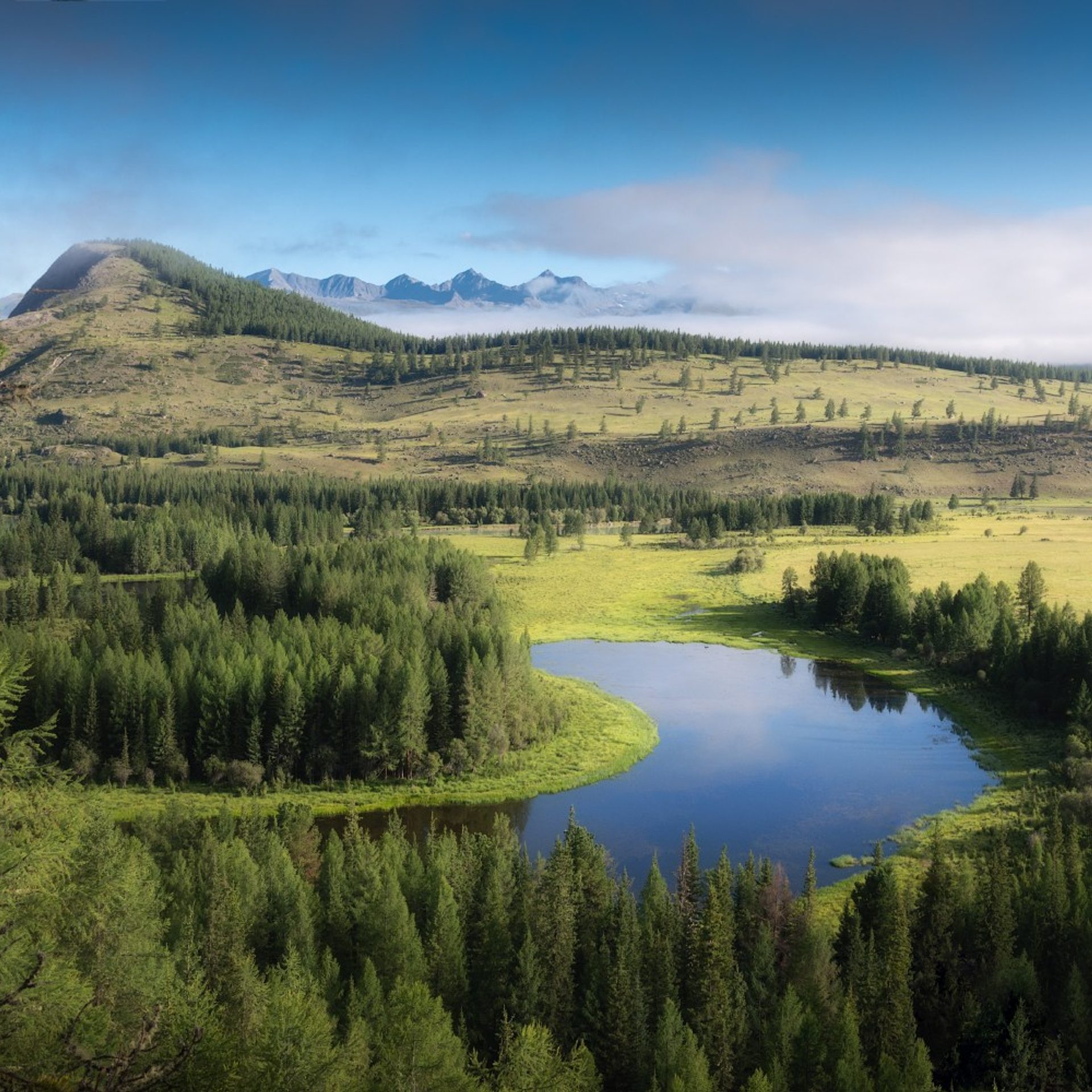 Фототур по Алтаю — Огоньки среднегорья и долина реки Аргут. Профессиональный пейзажный фотограф Алёна Рубан