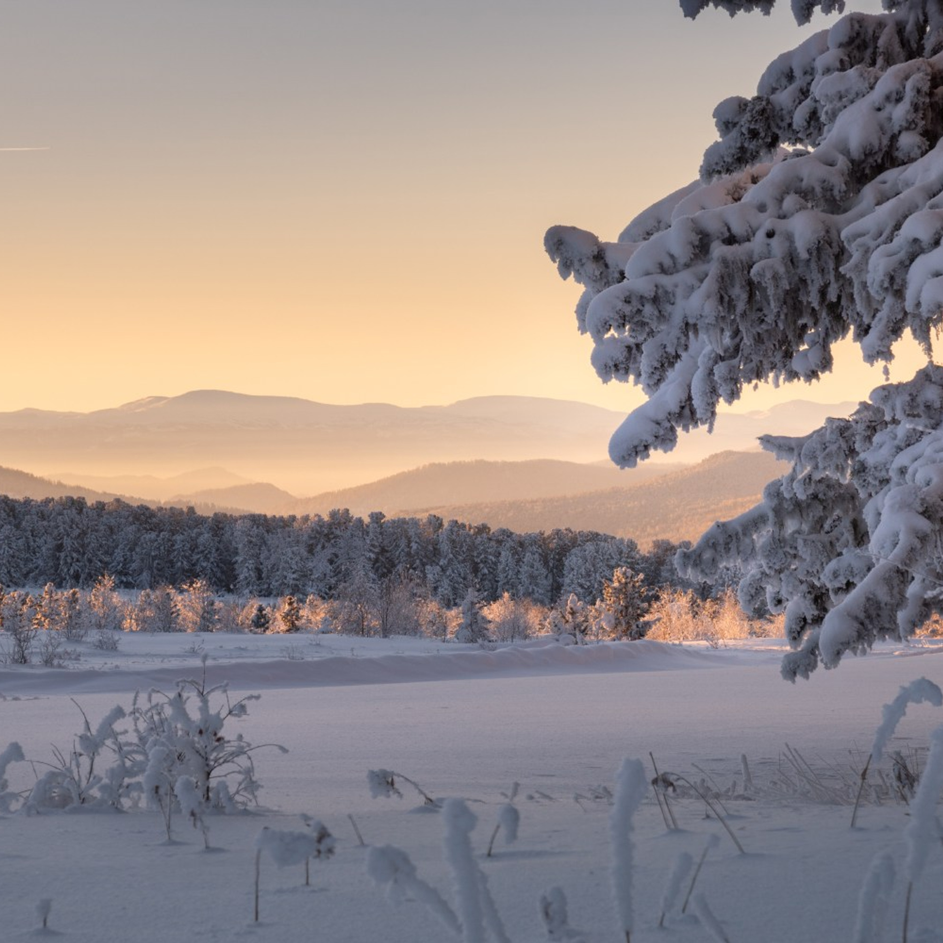 Фототур по зимнему Алтаю «Вдогонку лебединым песням». Профессиональный пейзажный фотограф Алёна Рубан