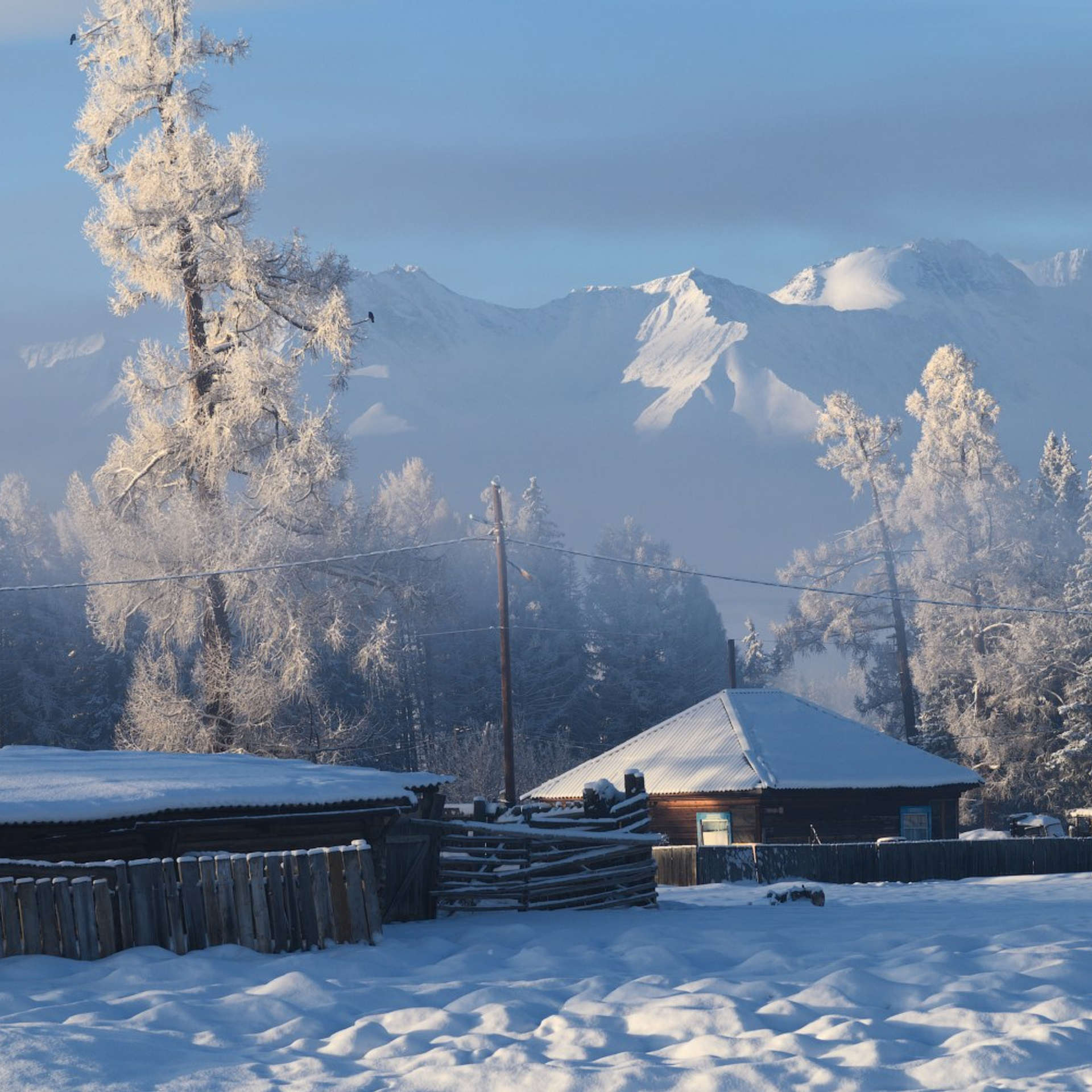 Фототур по зимнему Алтаю «Вдогонку лебединым песням». Профессиональный пейзажный фотограф Алёна Рубан