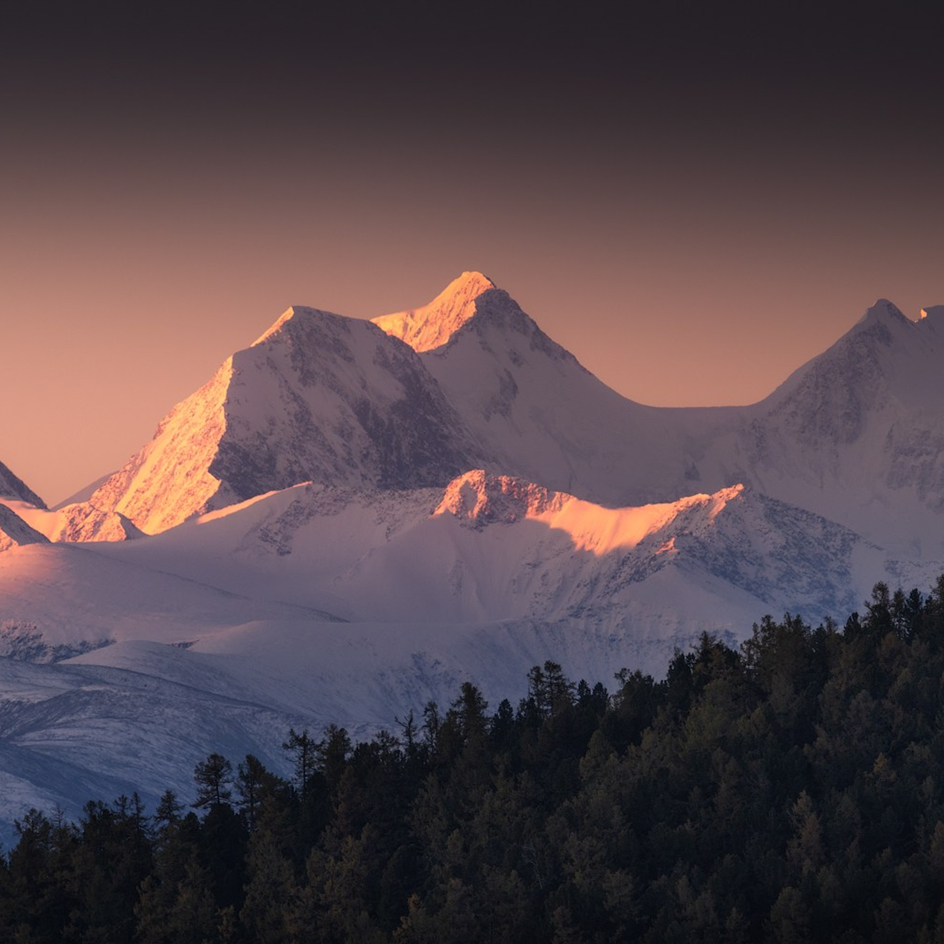 Фототур на Алтай Весеннее цветение. Профессиональный пейзажный фотограф Алёна Рубан