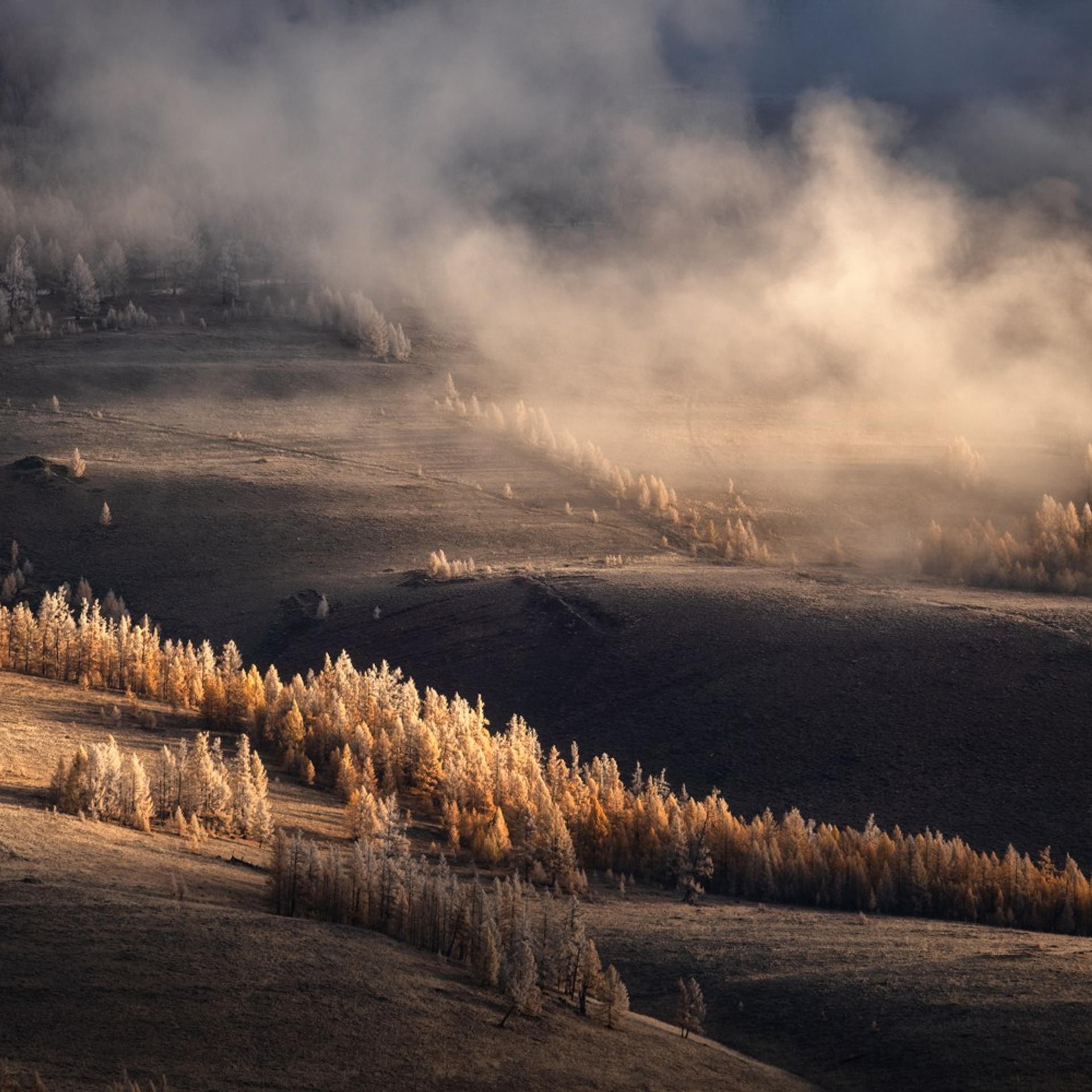 Фототур по осеннему Алтаю «Встречаем предзимье». Профессиональный пейзажный фотограф Алёна Рубан