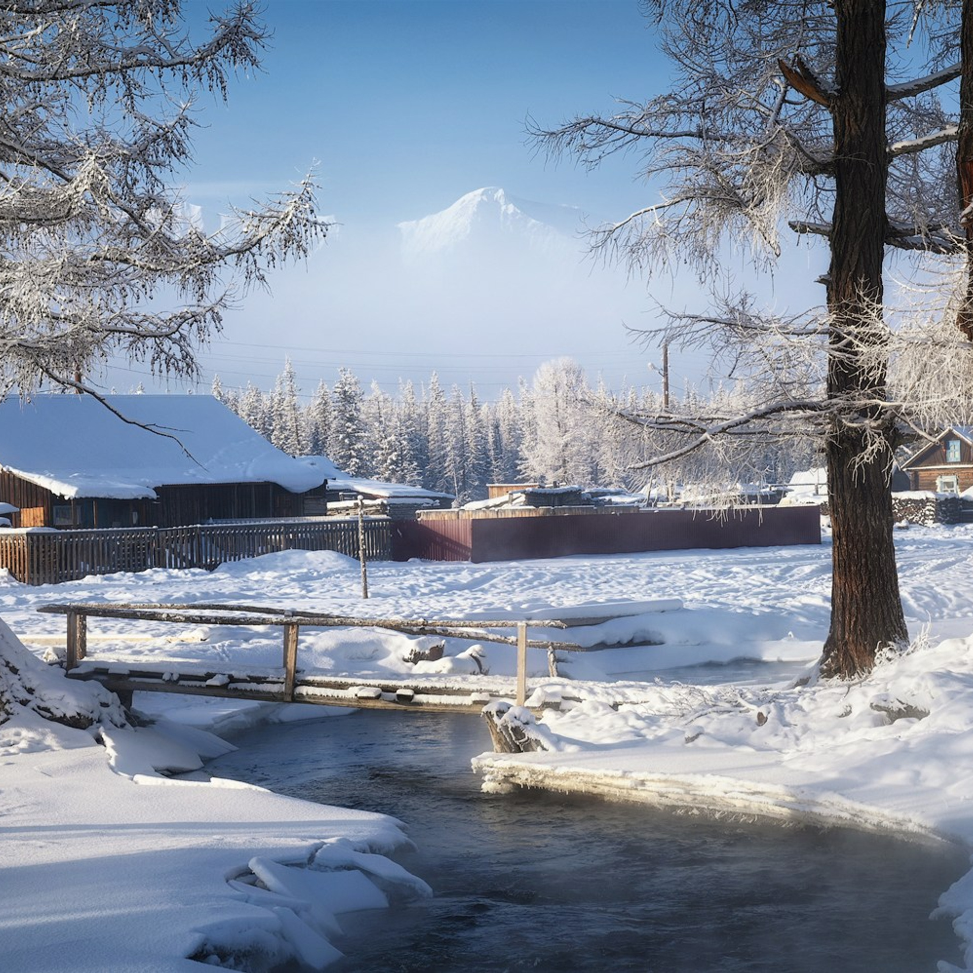 Фототур по зимнему Алтаю «Вдогонку лебединым песням». Профессиональный пейзажный фотограф Алёна Рубан