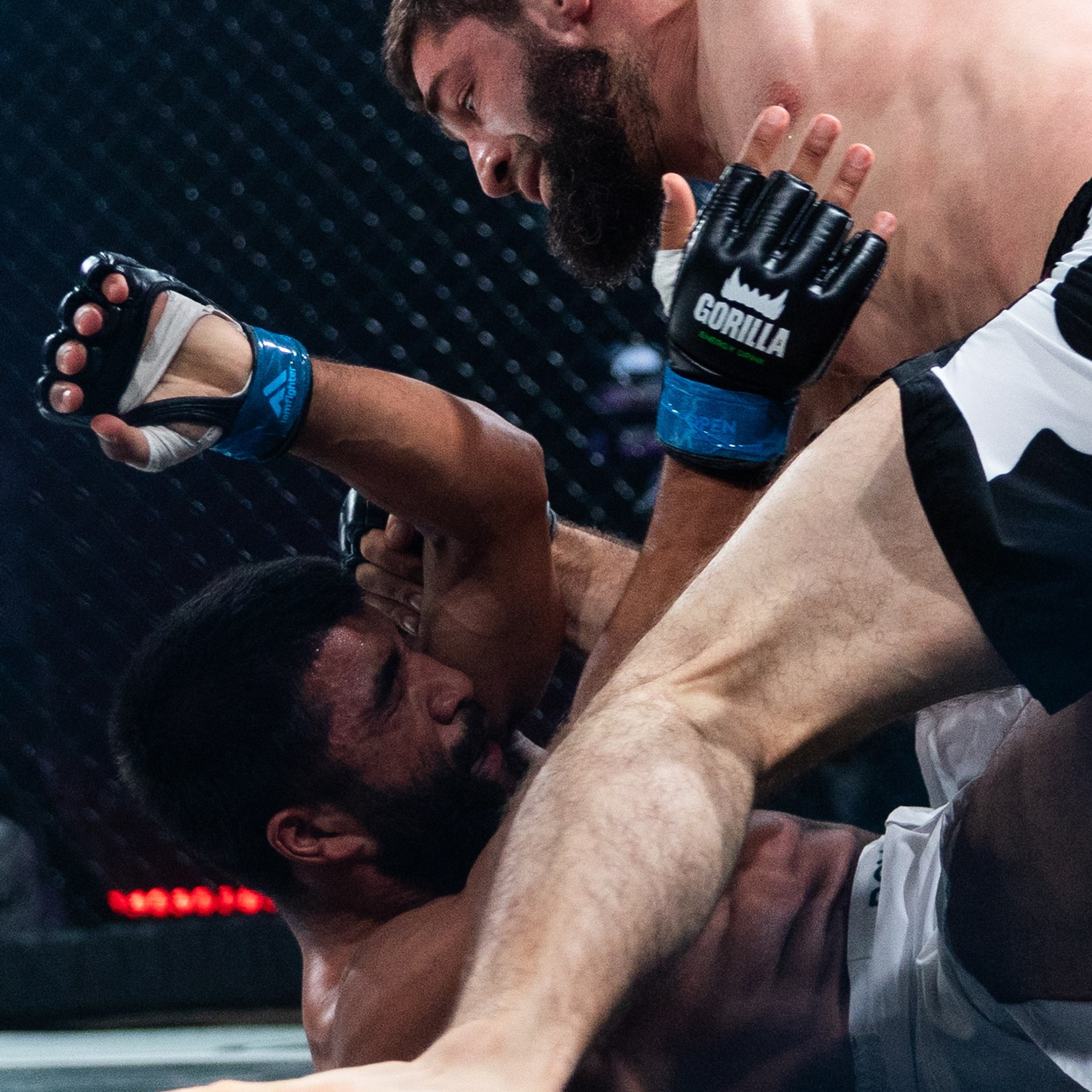 MMA/Royal Battle Show. Свадебный фотограф в Нижнем Новгороде и Москве Виктор Баринов