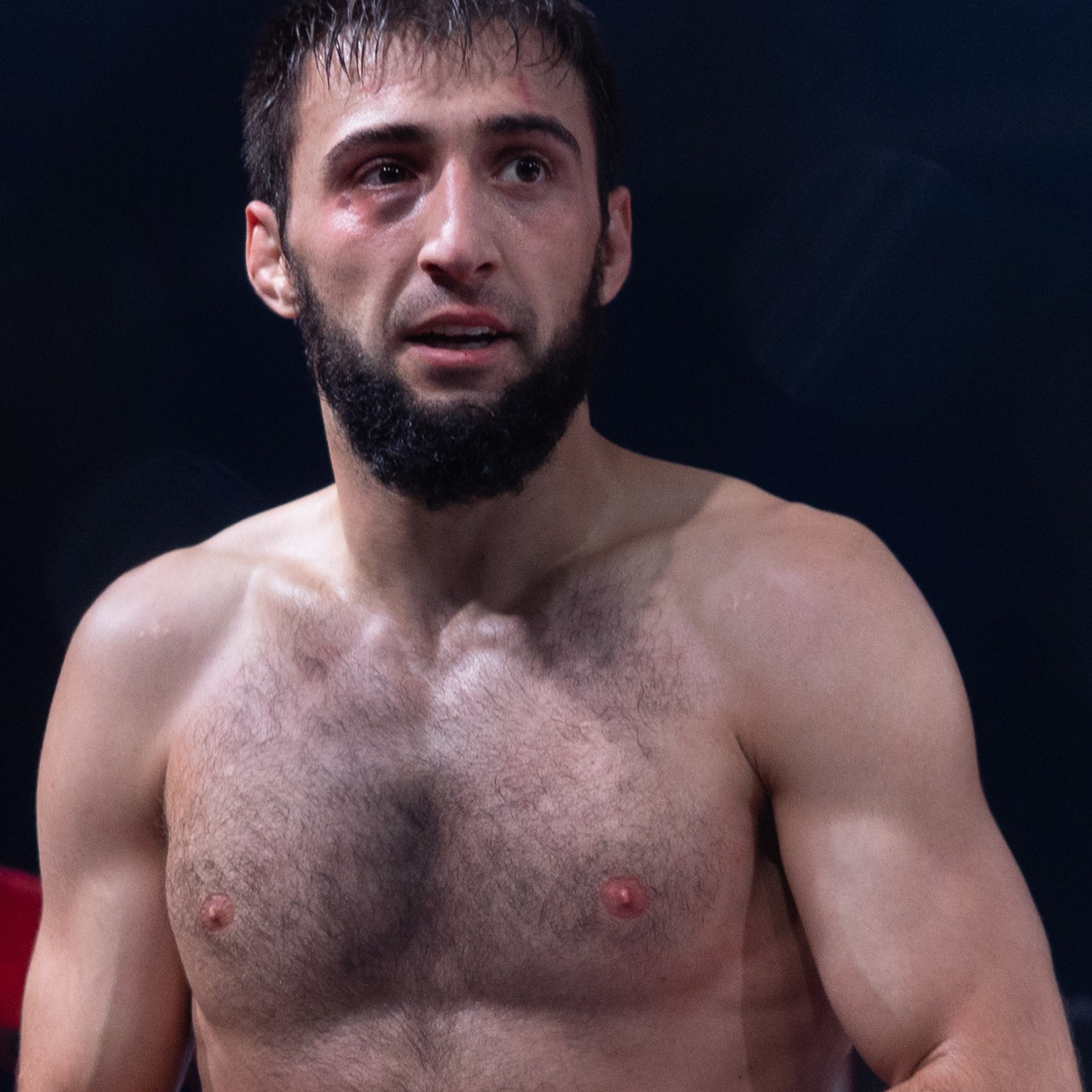 MMA/Royal Battle Show. Свадебный фотограф в Нижнем Новгороде и Москве Виктор Баринов