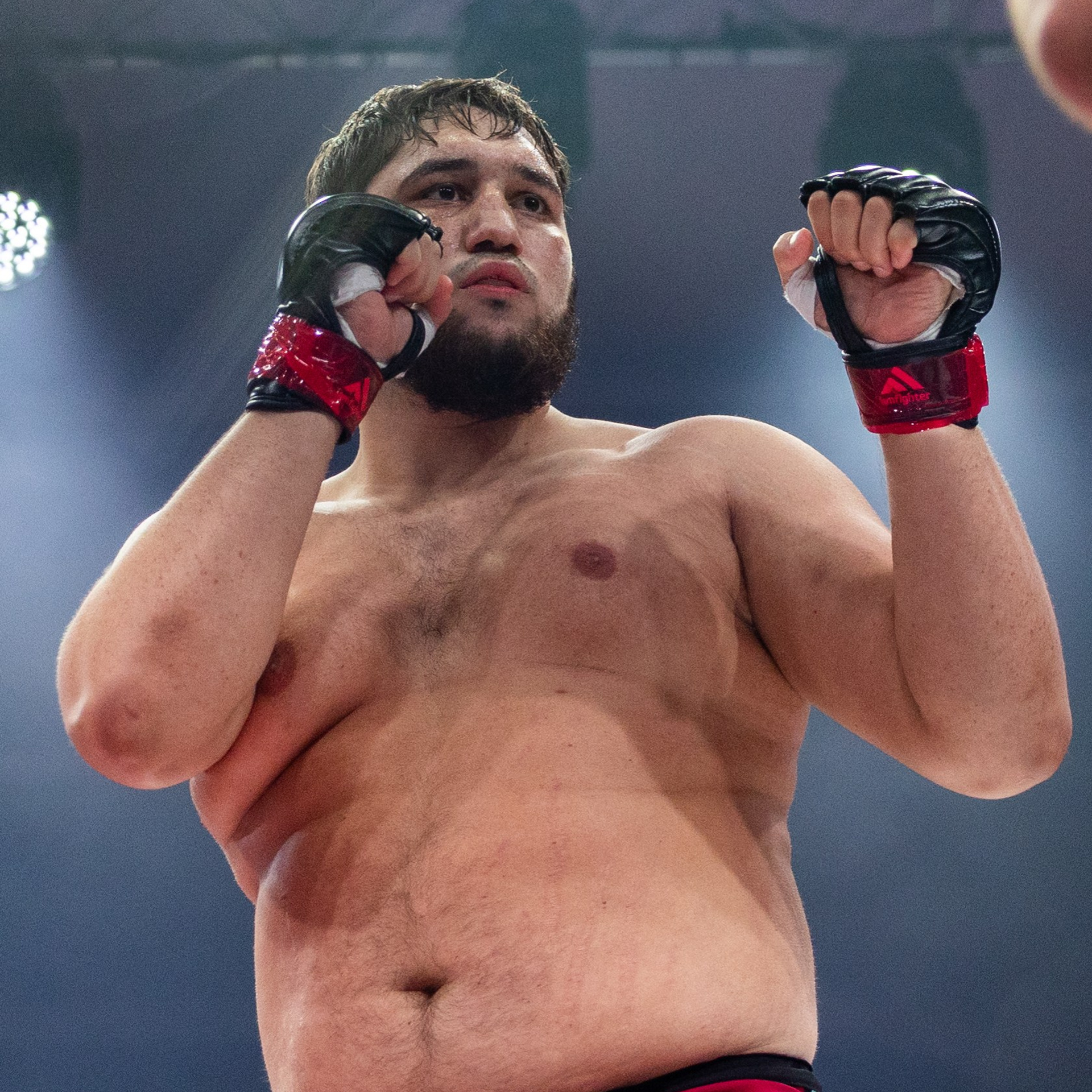 MMA/Royal Battle Show. Свадебный фотограф в Нижнем Новгороде и Москве Виктор Баринов