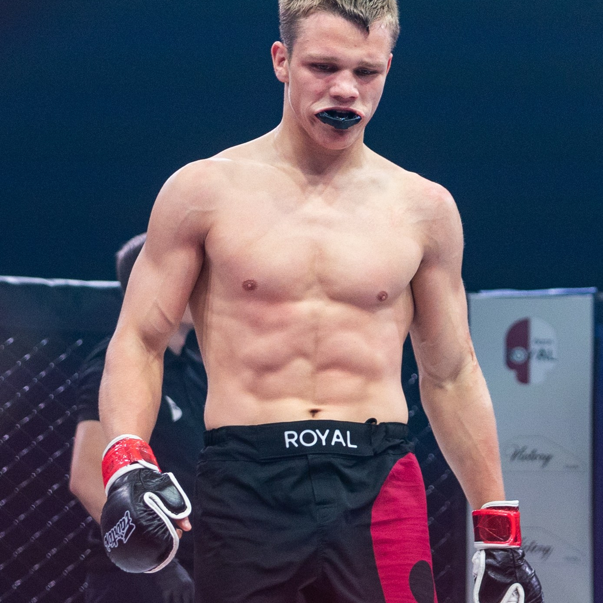 MMA/Royal Battle Show. Свадебный фотограф в Нижнем Новгороде и Москве Виктор Баринов