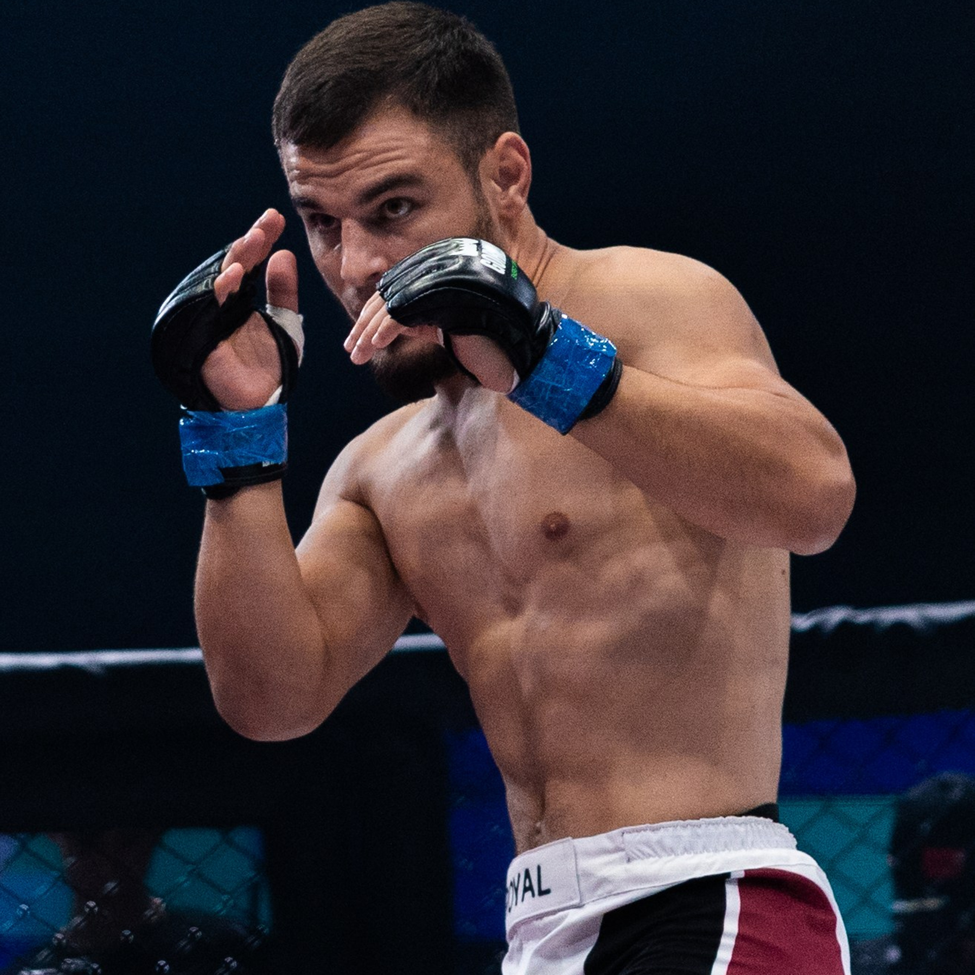 MMA/Royal Battle Show. Свадебный фотограф в Нижнем Новгороде и Москве Виктор Баринов