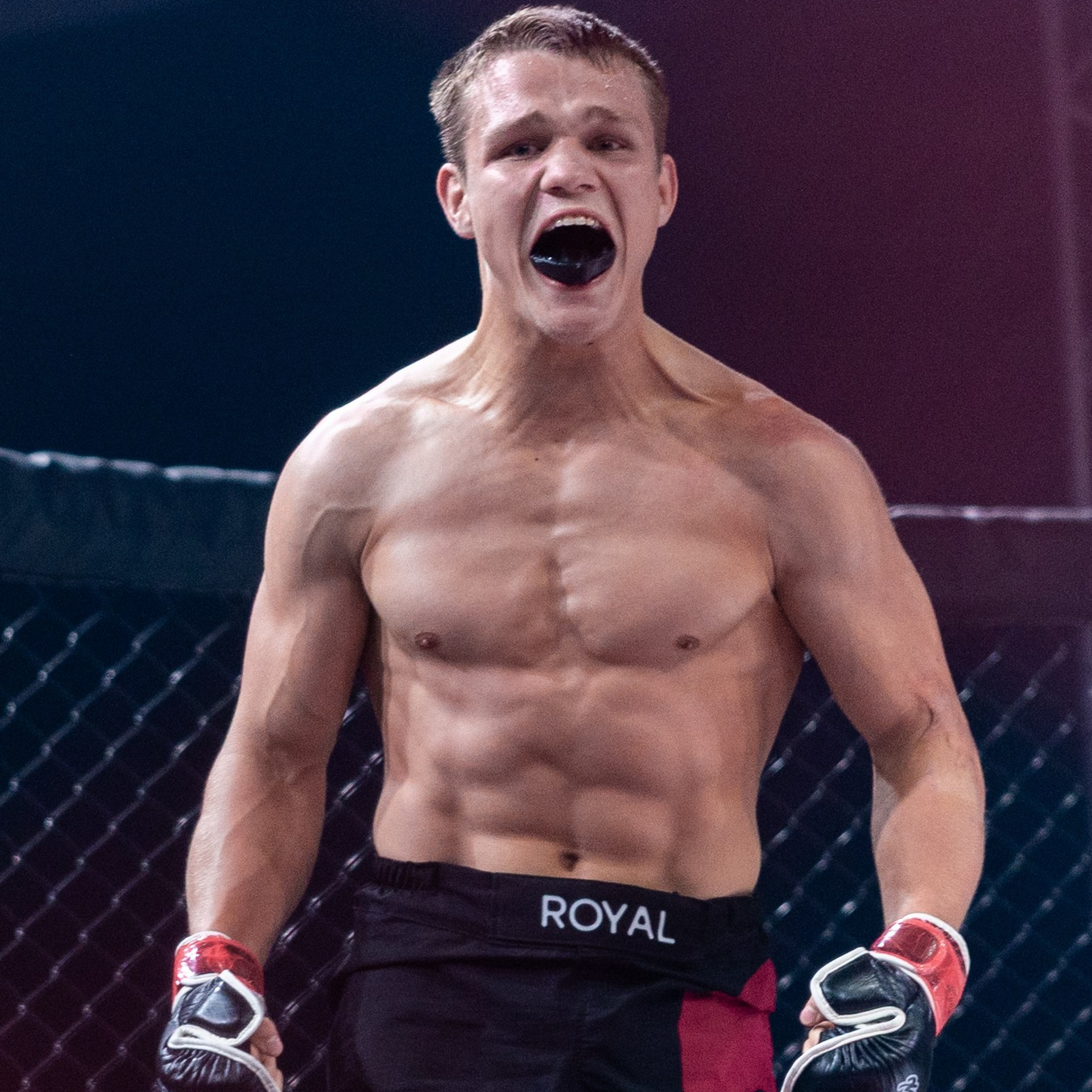 MMA/Royal Battle Show. Свадебный фотограф в Нижнем Новгороде и Москве Виктор Баринов