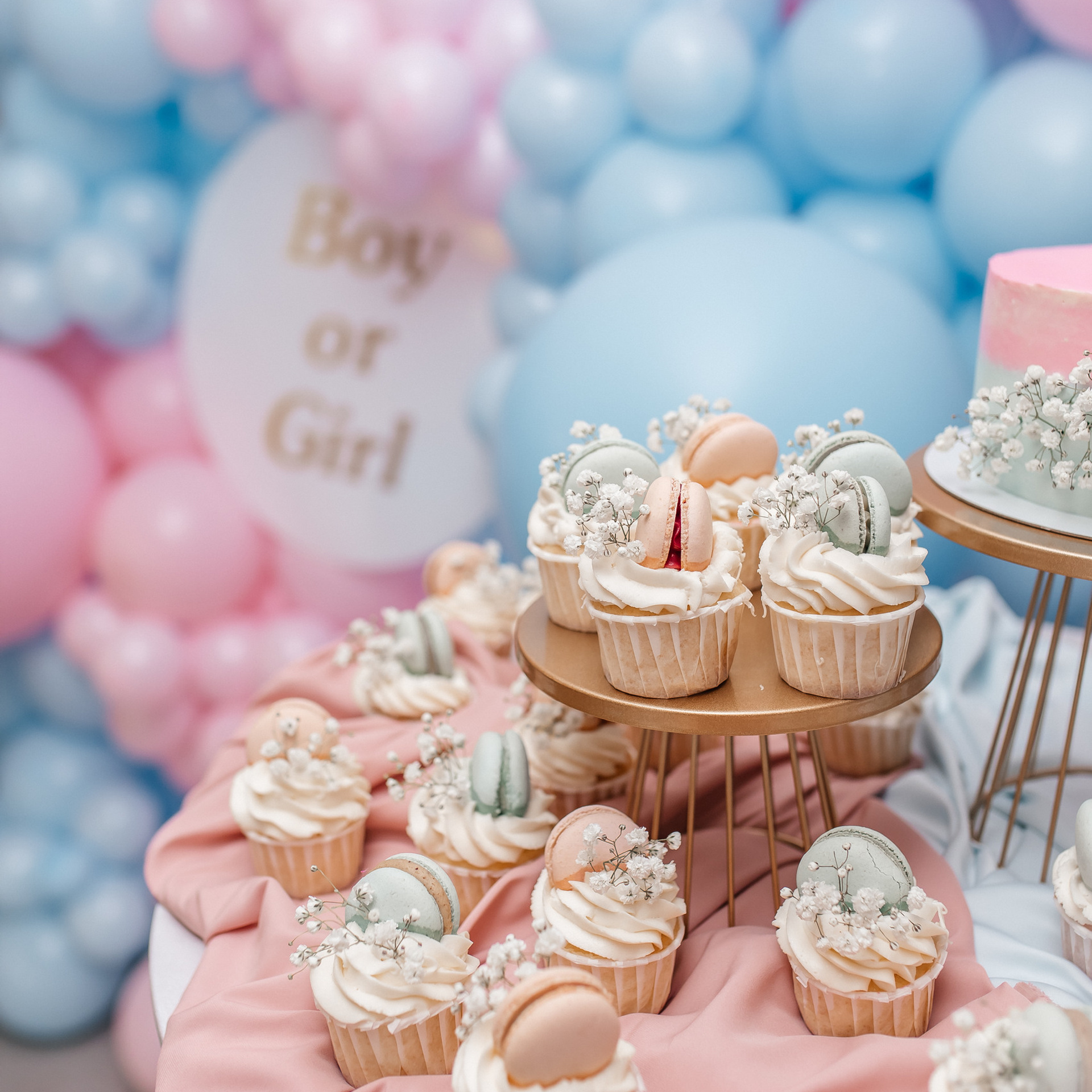 Отзывы. Свадебный и семейный фотограф в Санкт- Петербурге