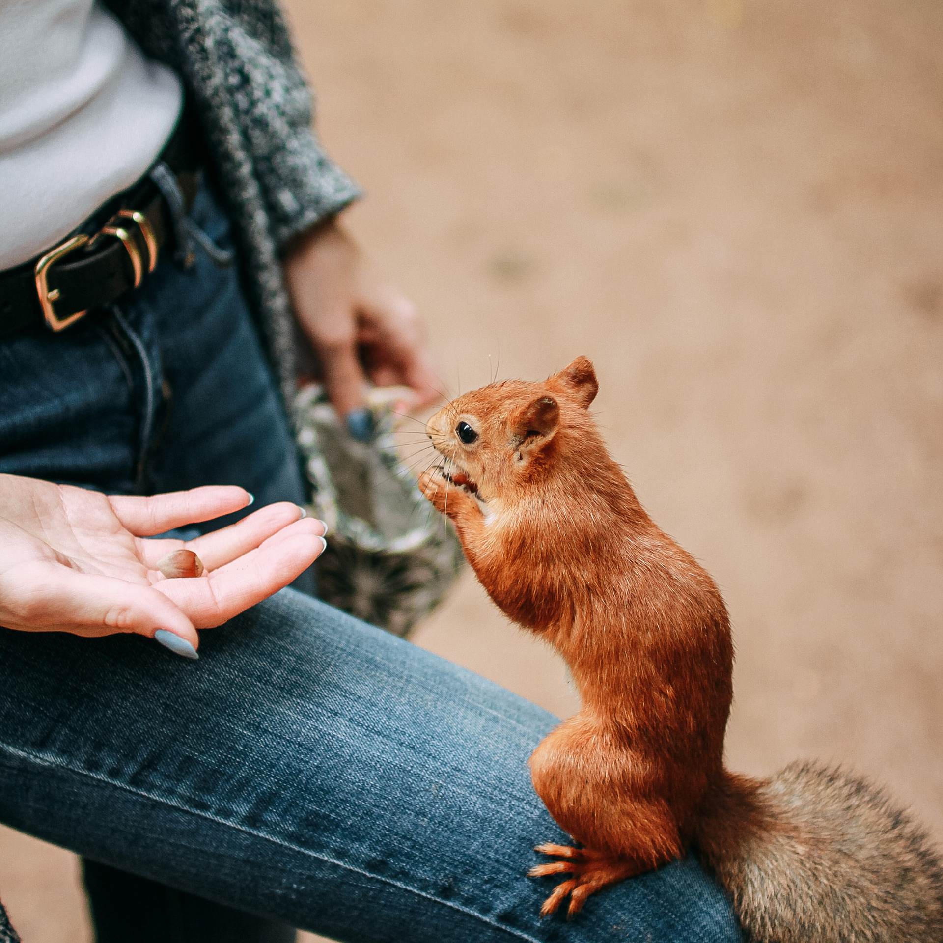 Отзывы. Фотограф в Москве, Электростали, Ногинске, Балашихе, Александра Кукушкина