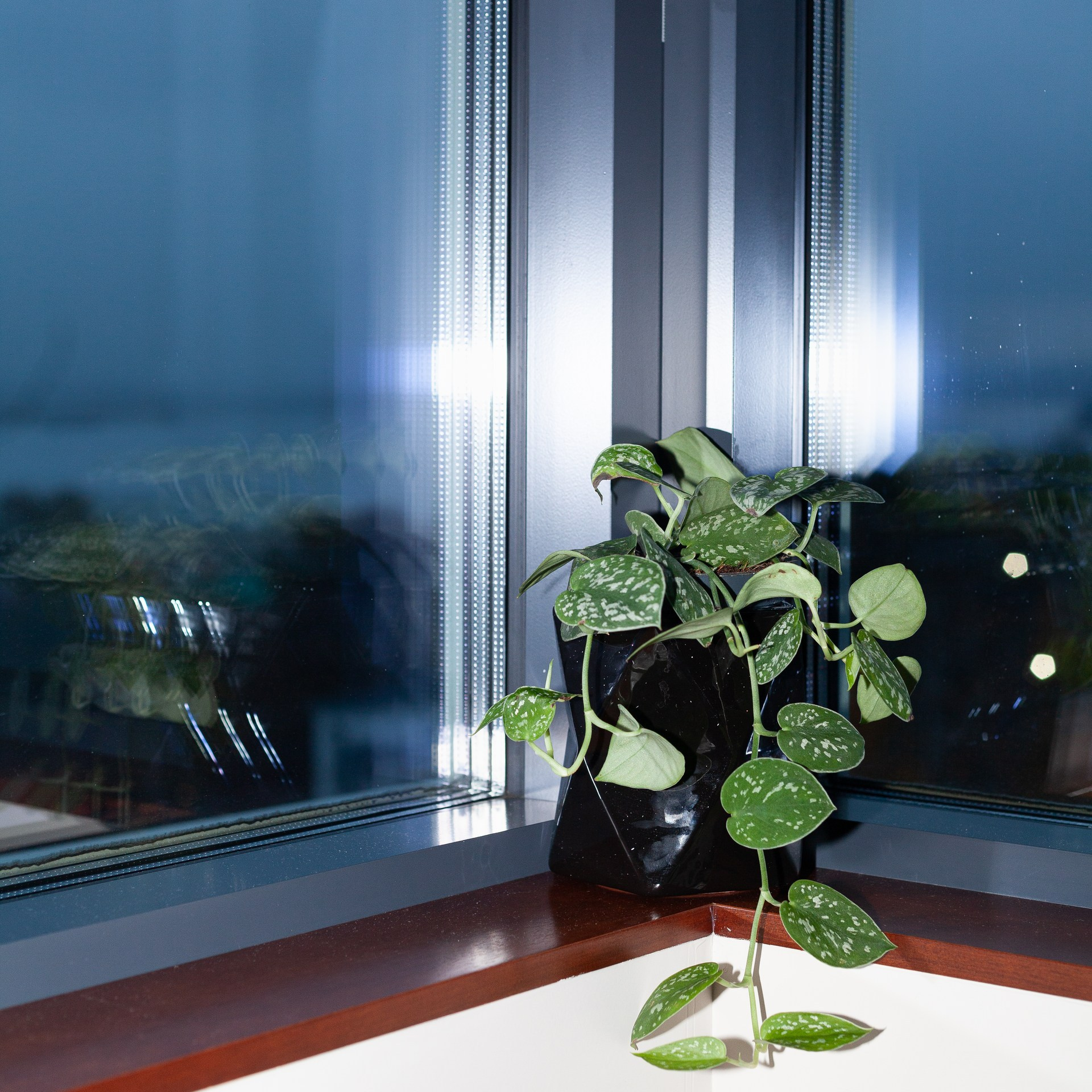 Интерьерный фотограф Дима Птицын и стилист Дарья Копылова