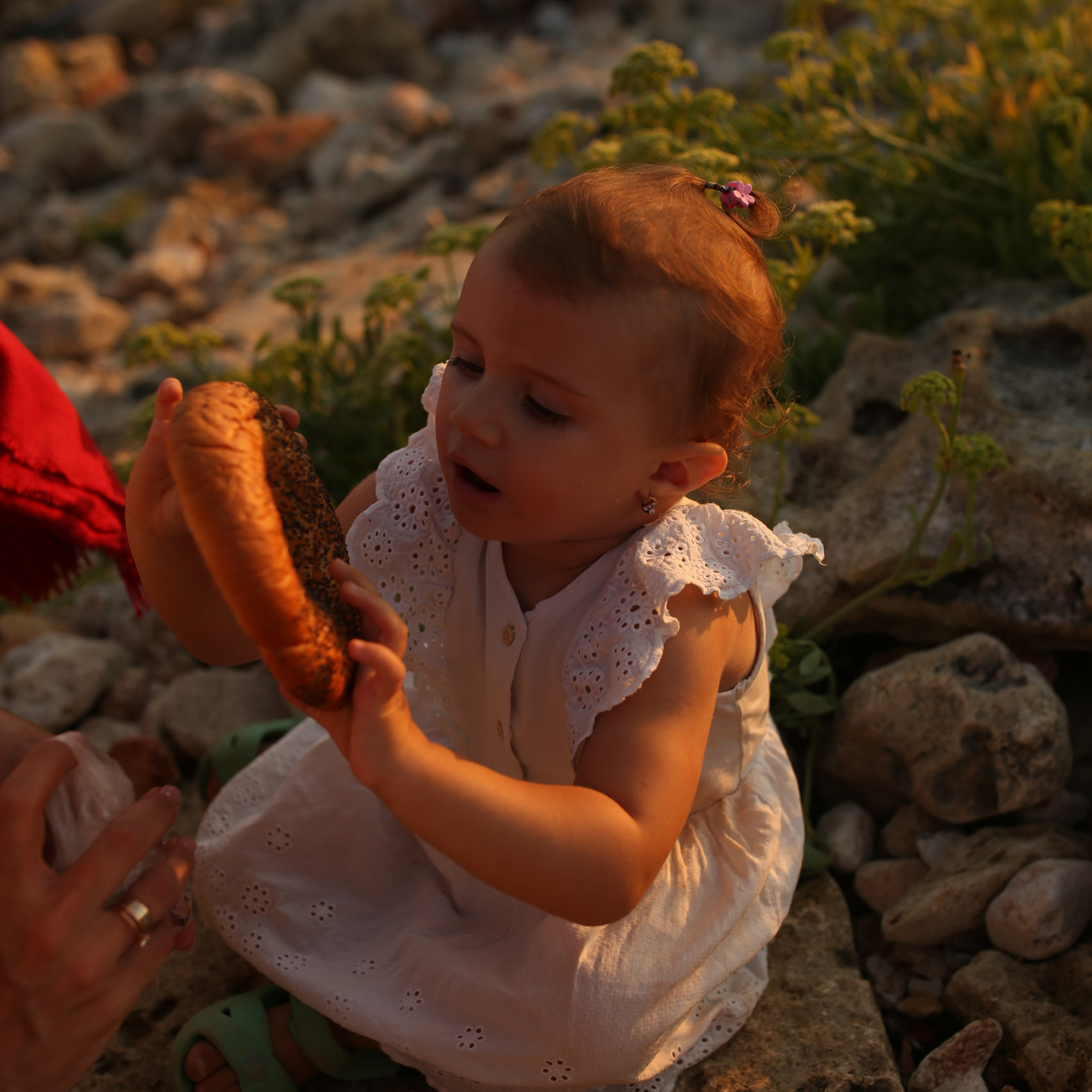 Отзывы. Свадебный и семейный фотограф в Севастополе и в Крыму
