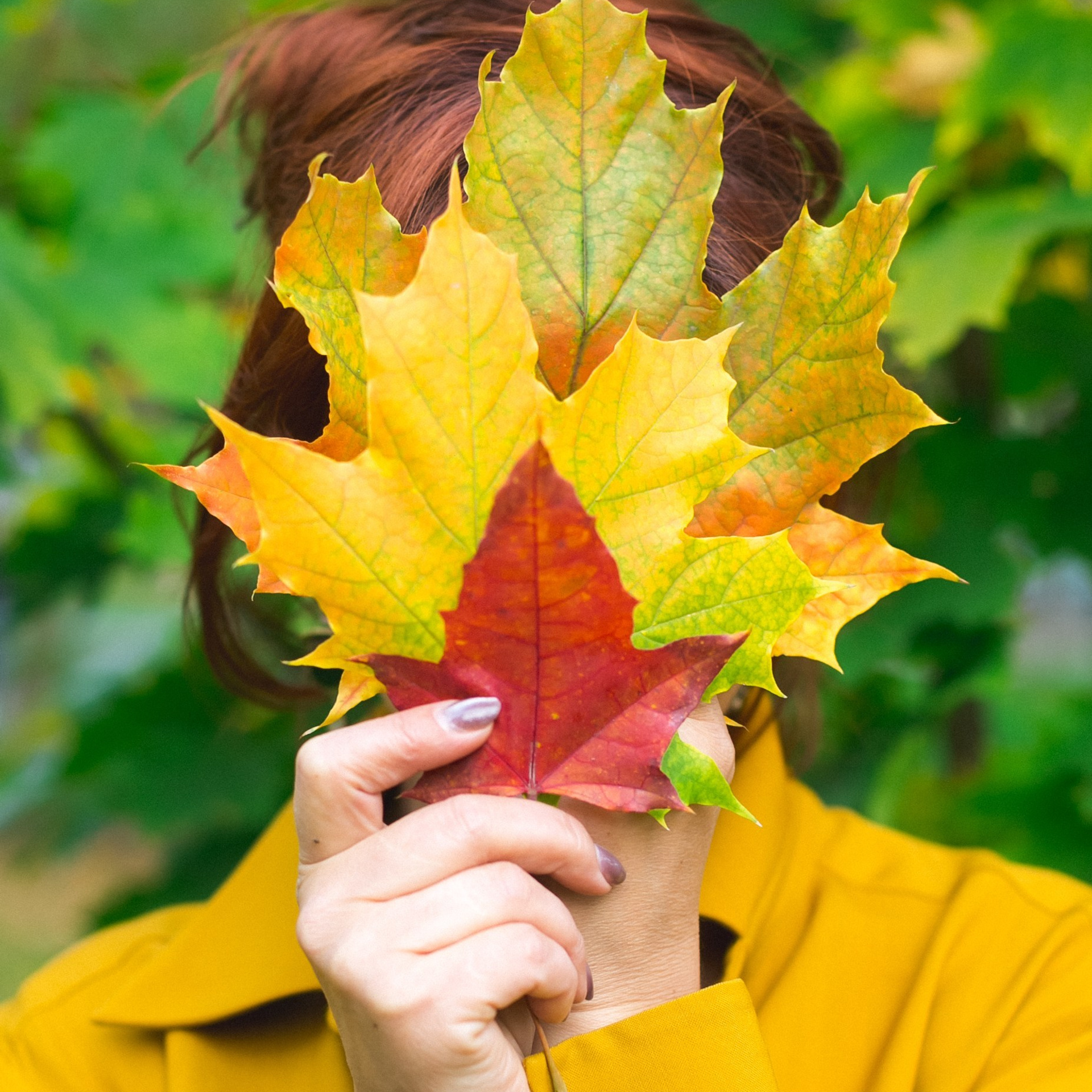 Отзывы о фотографе Алевтине Семенютиной. Выпускные фотоальбомы и папки для школ и садиков в Челябинске