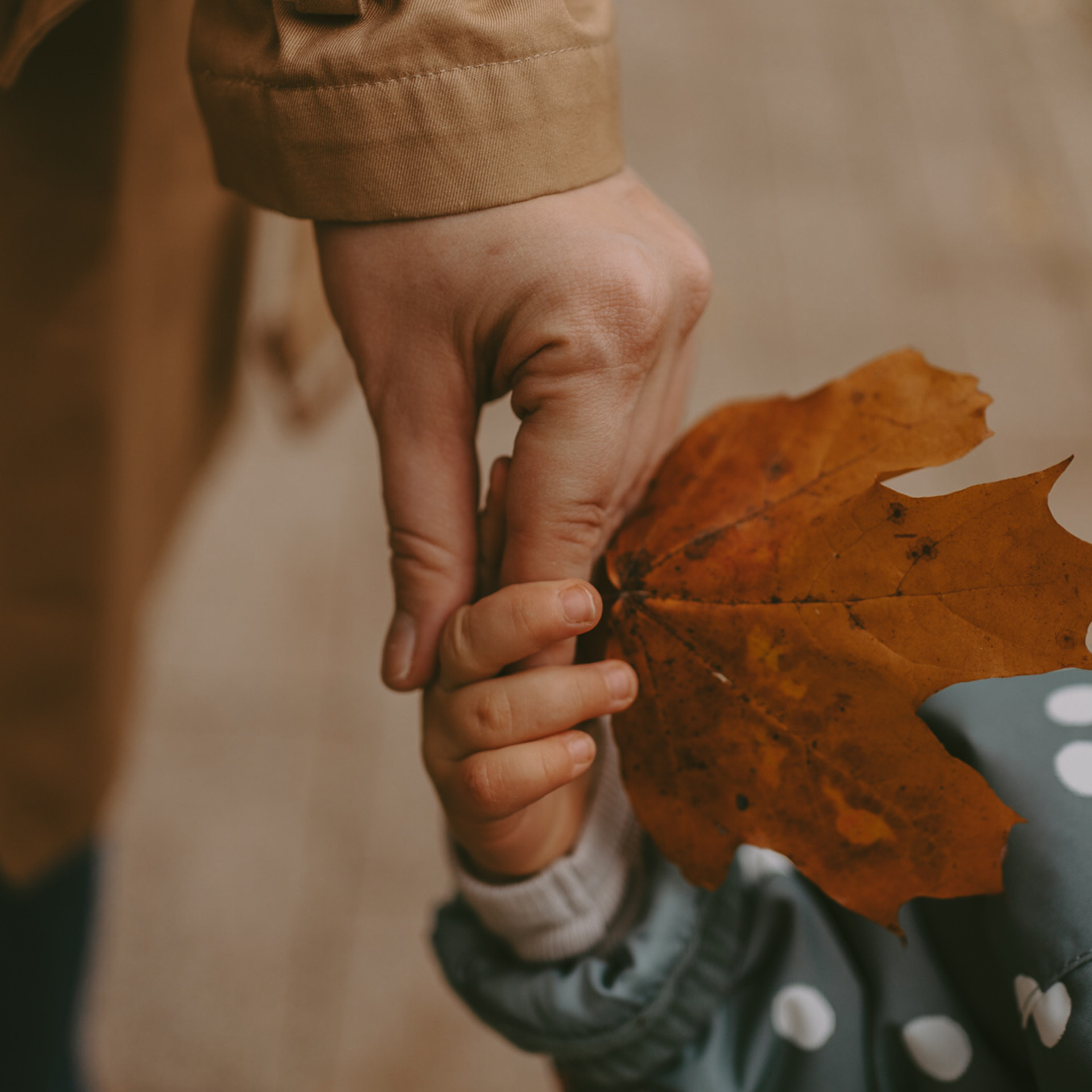 Отзывы. Семейный фотограф в Москве Кристина Кручинина