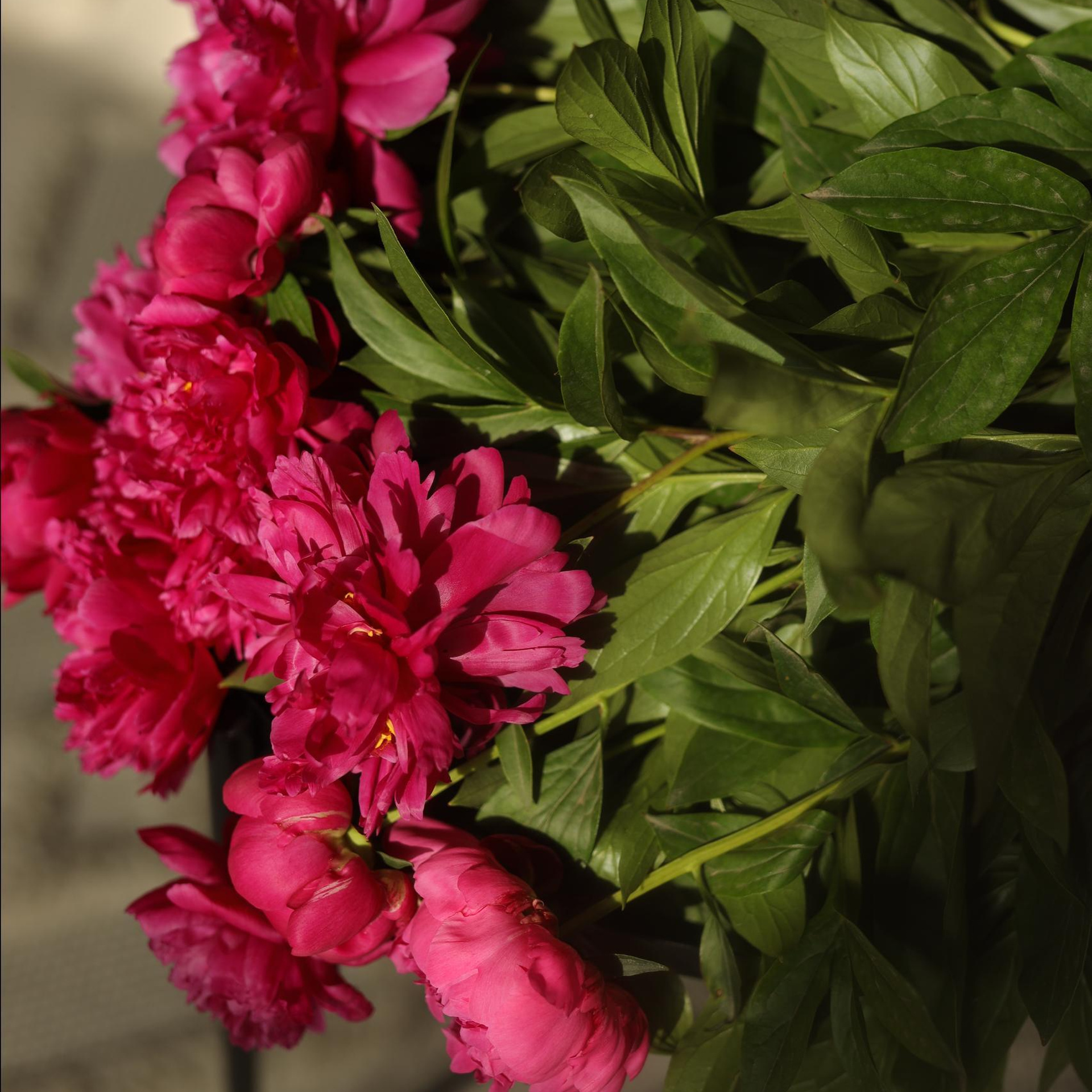 Отзывы. Главная