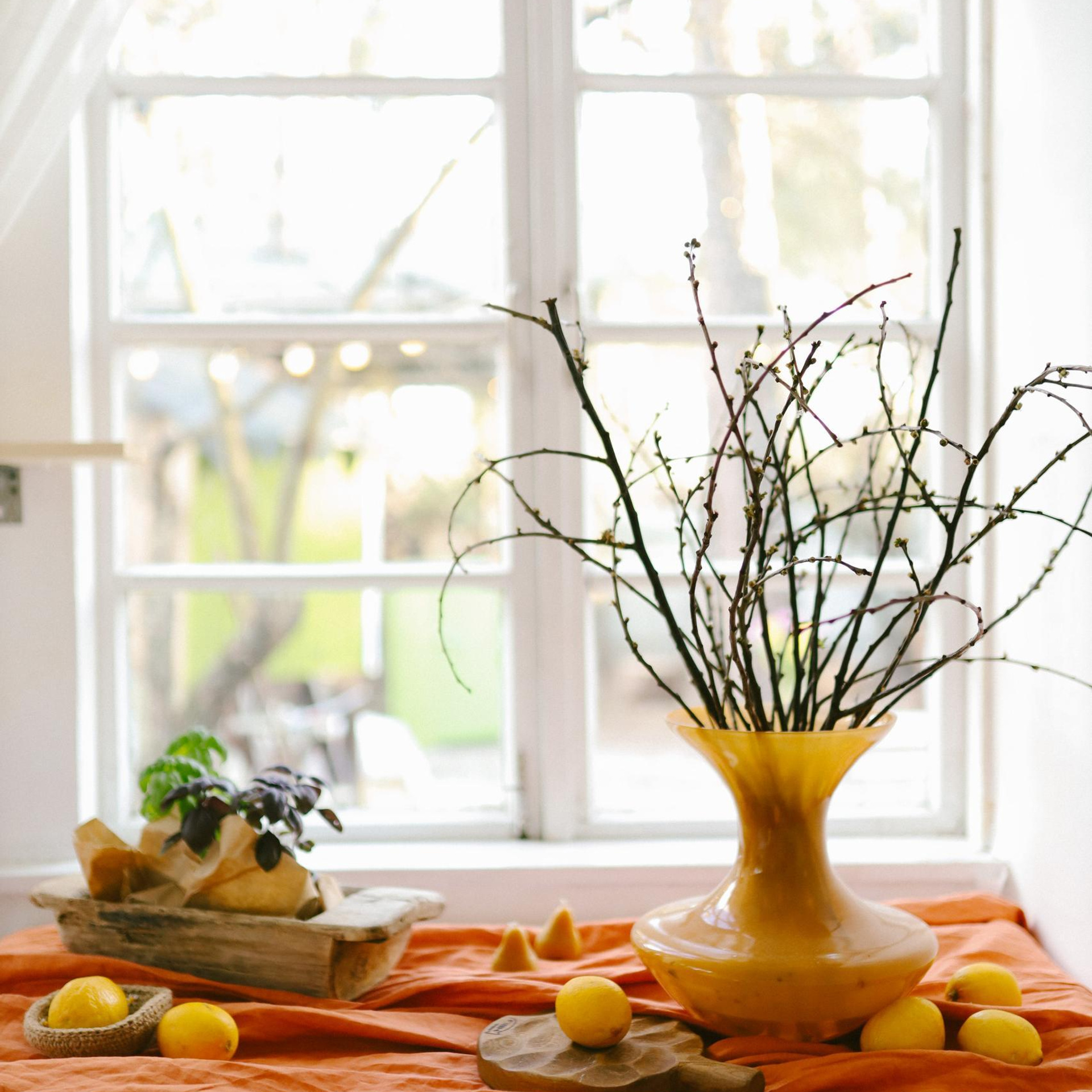 Отзывы. Фотограф в Москве и области Савина Антонина