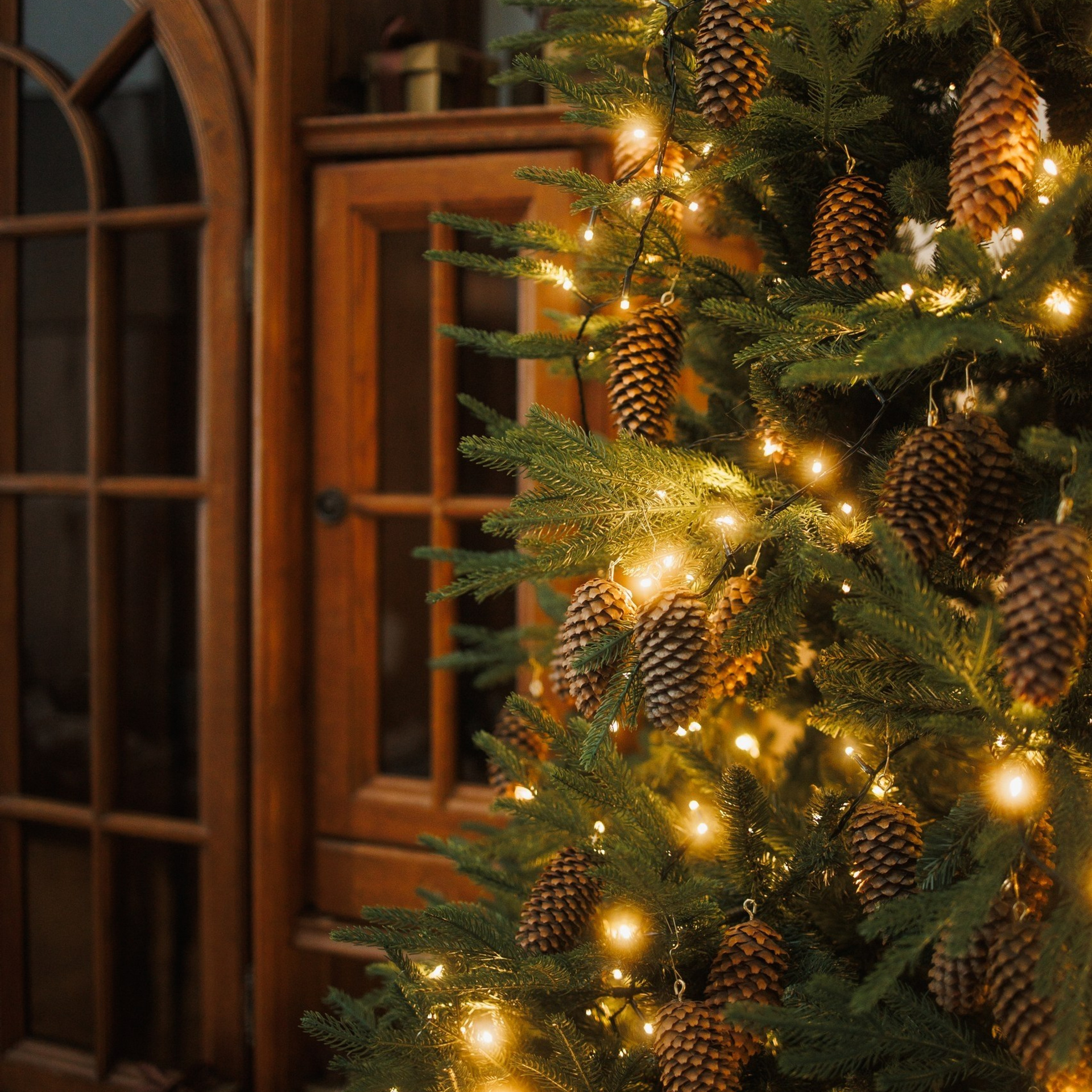 Новогодние съемки 2025/2026. Меркулова Ольга фотограф Воронеж