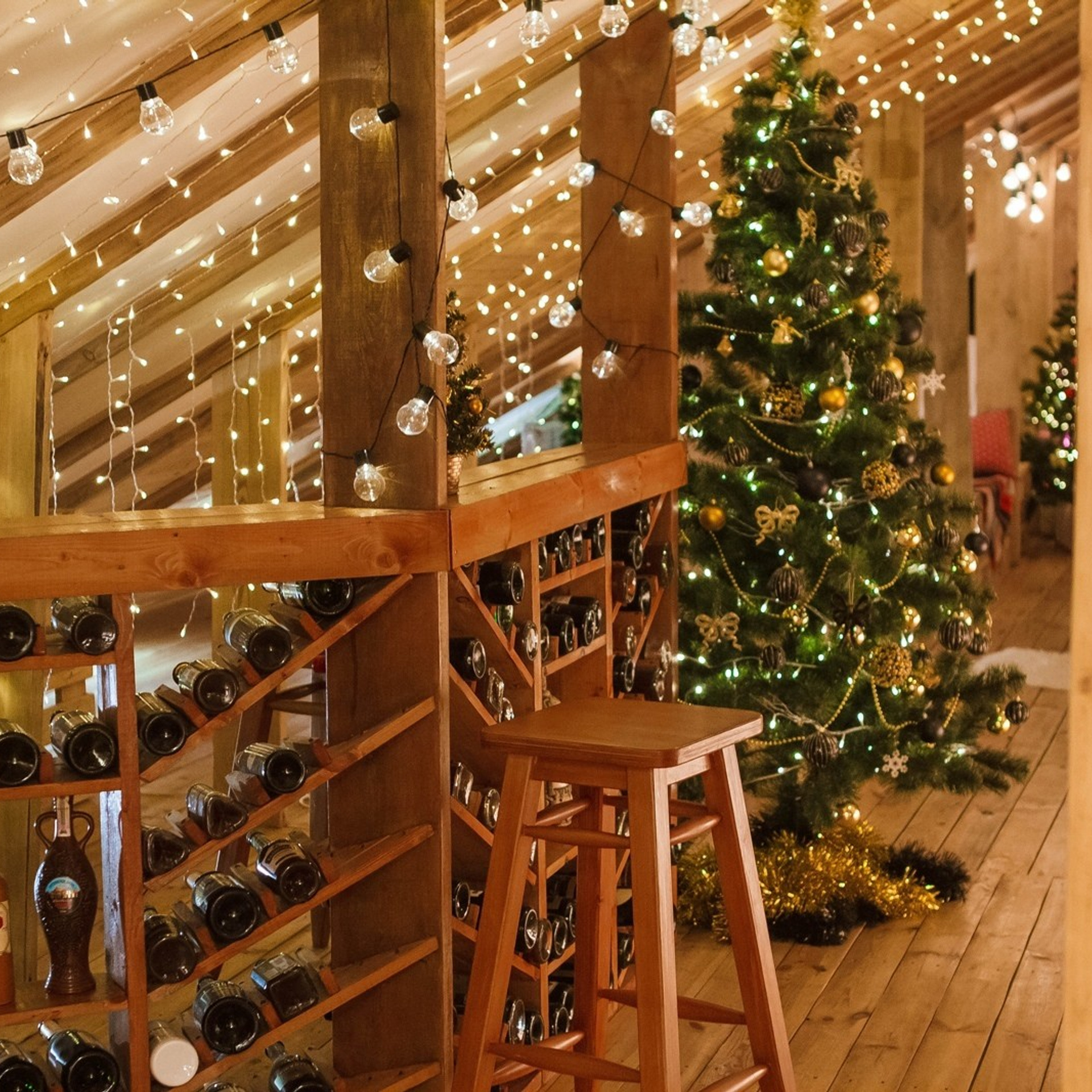 Новогодние съемки 2025/2026. Меркулова Ольга фотограф Воронеж