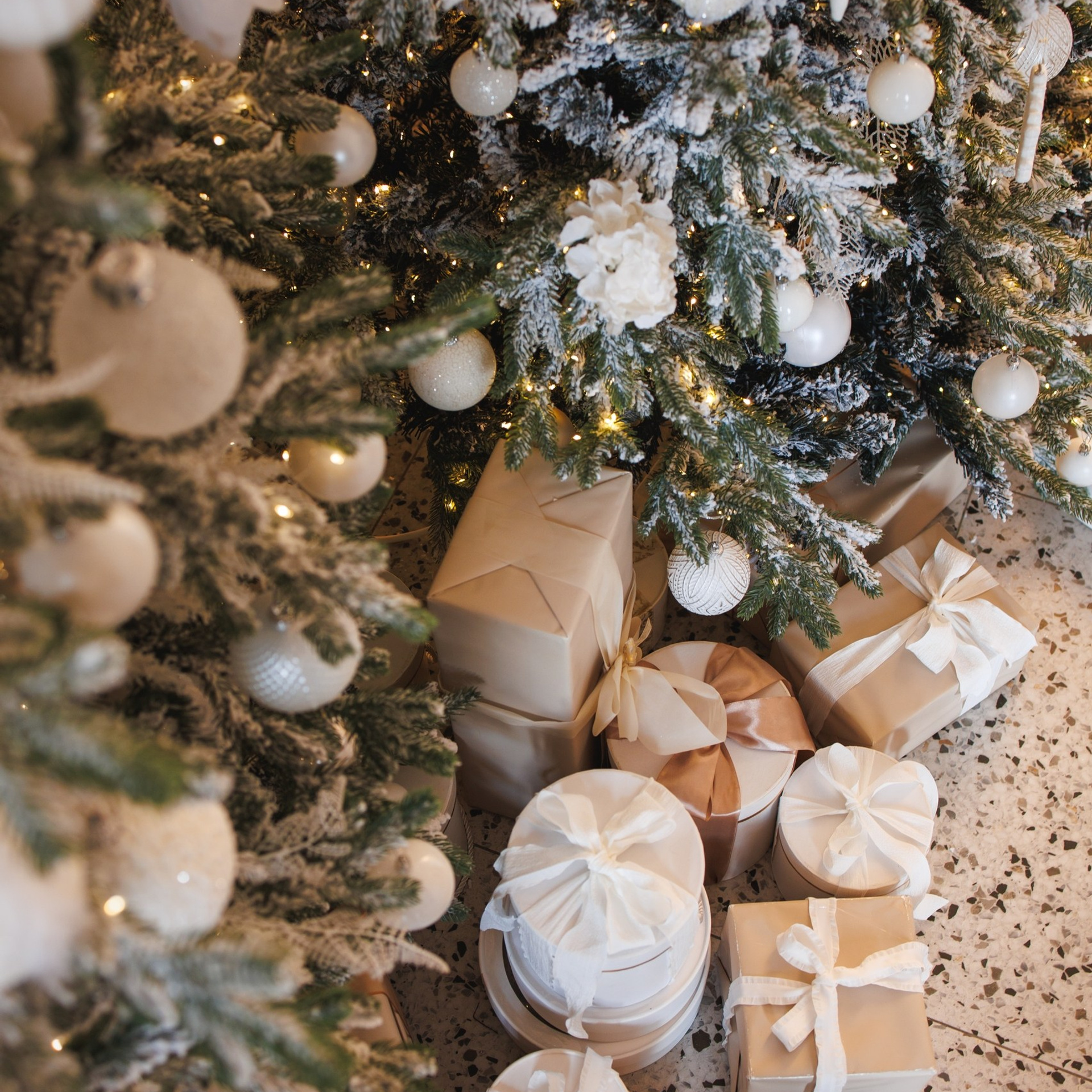 Новогодние съемки 2025/2026. Меркулова Ольга фотограф Воронеж