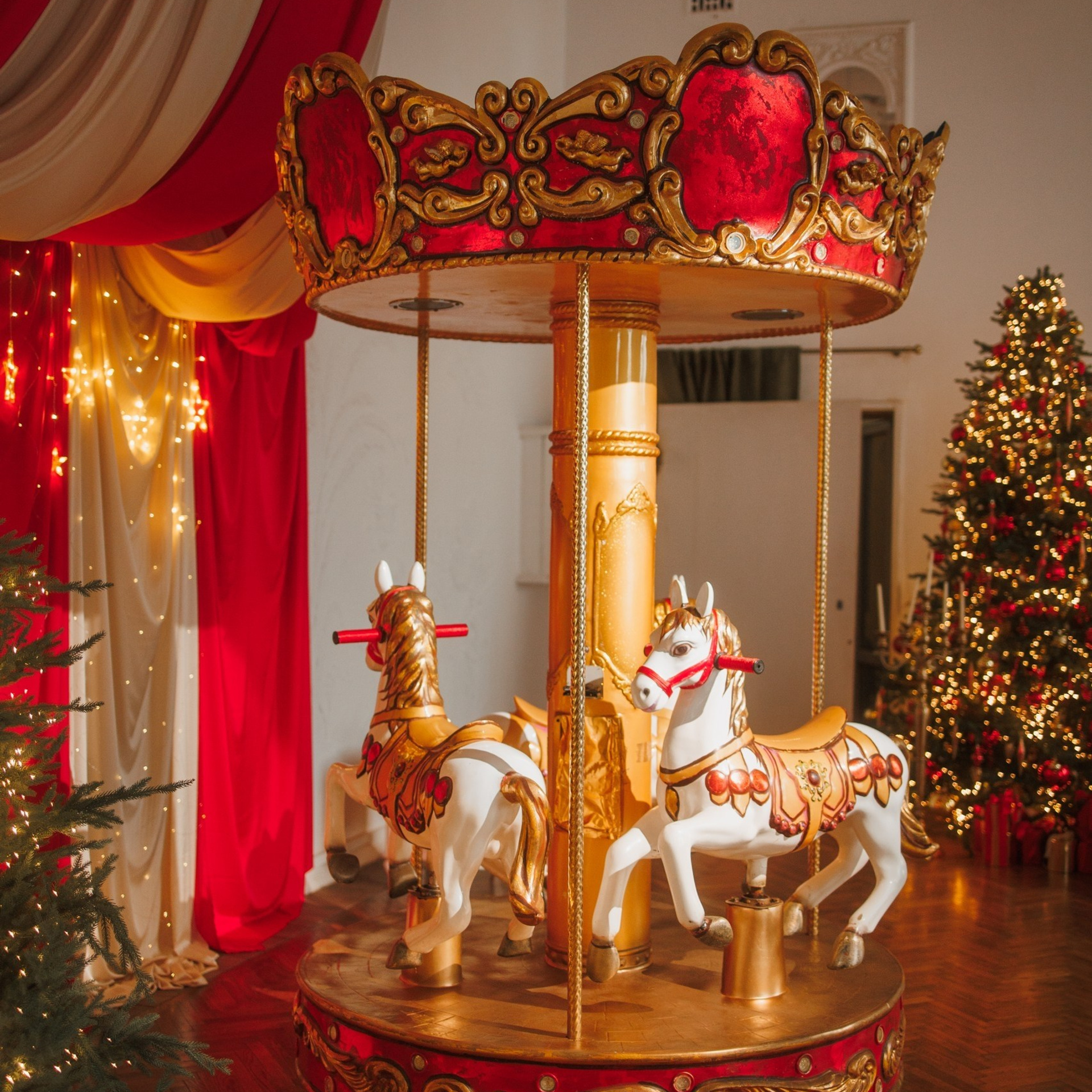 Новогодние съемки 2025/2026. Меркулова Ольга фотограф Воронеж