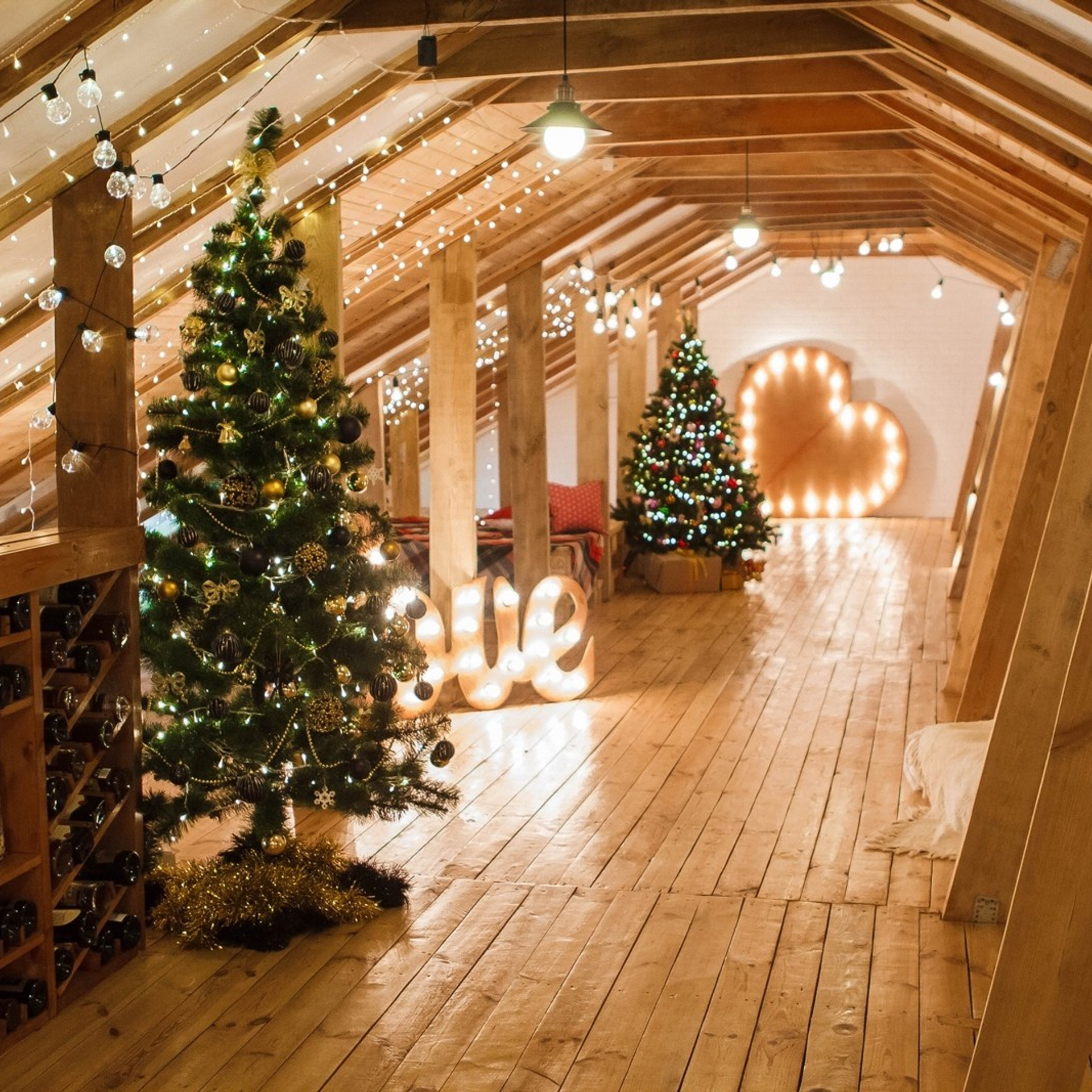 Новогодние съемки 2025/2026. Меркулова Ольга фотограф Воронеж