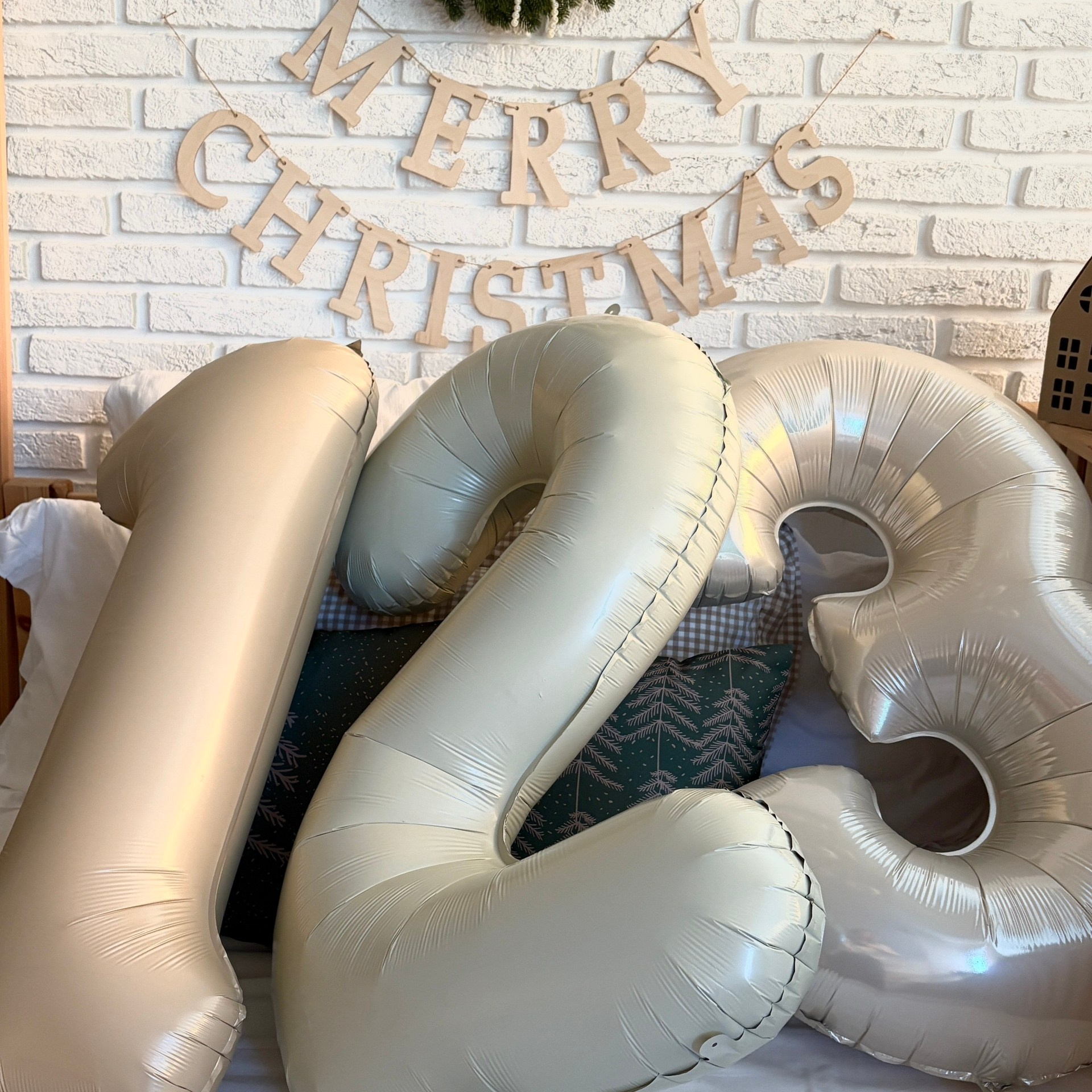 Новогодние съемки 2025/2026. Меркулова Ольга фотограф Воронеж