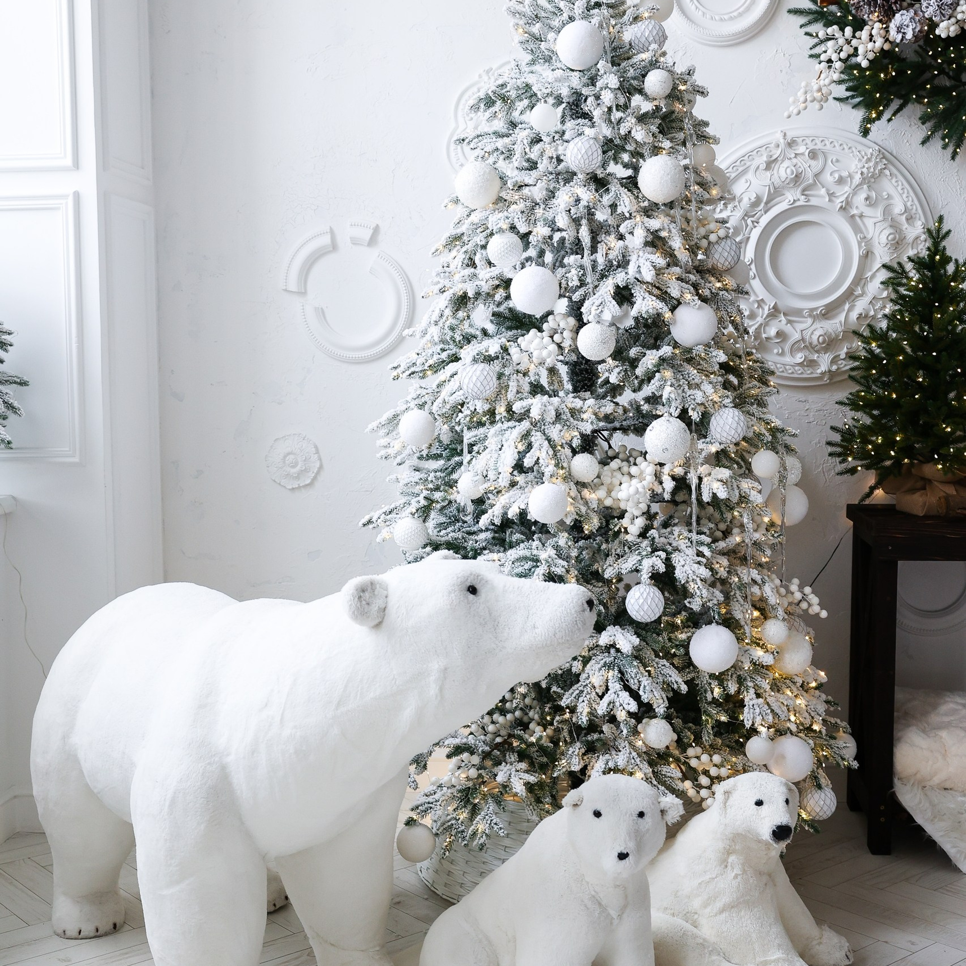 Новогодние съемки 2025/2026. Меркулова Ольга фотограф Воронеж