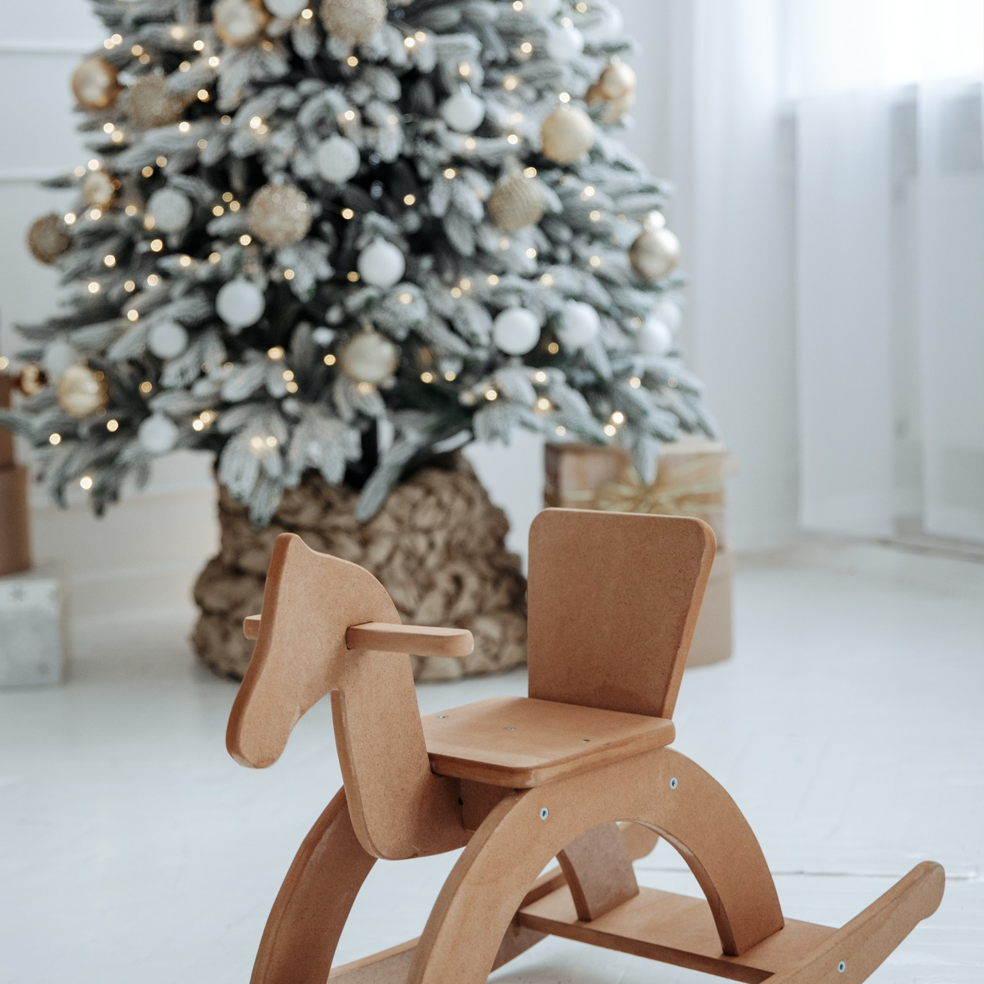 Новогодние съемки 2025/2026. Меркулова Ольга фотограф Воронеж