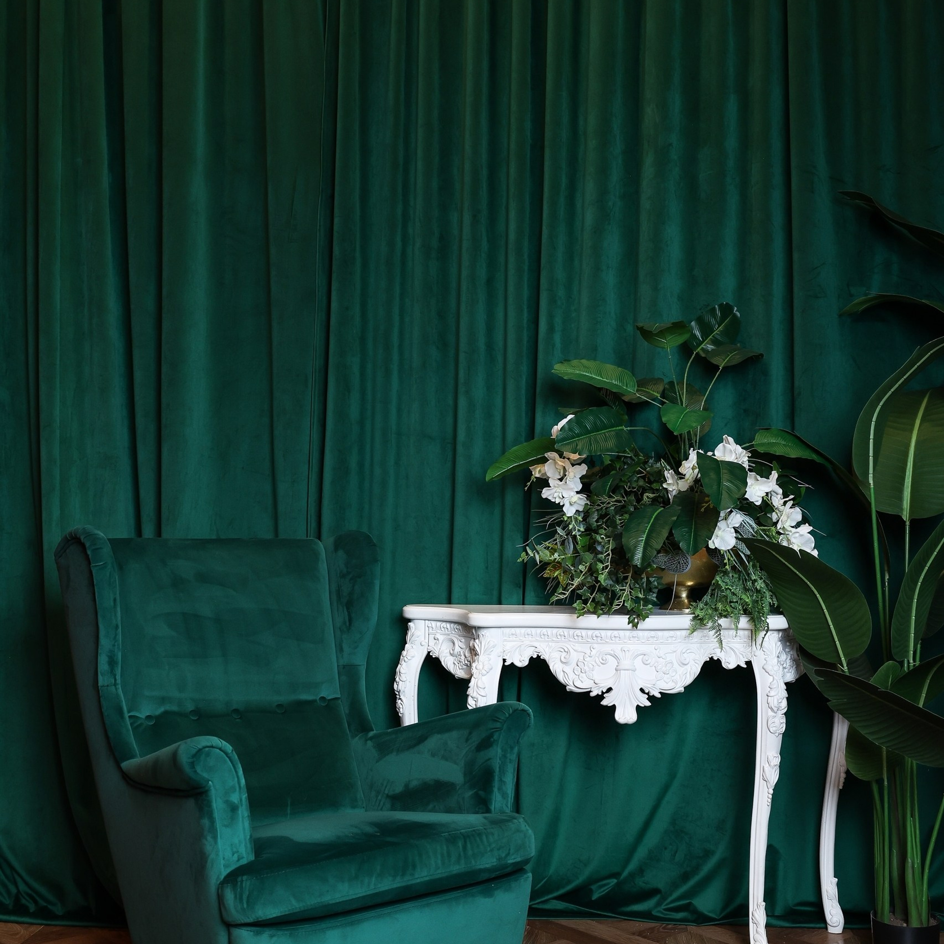 Новогодние съемки 2025/2026. Меркулова Ольга фотограф Воронеж