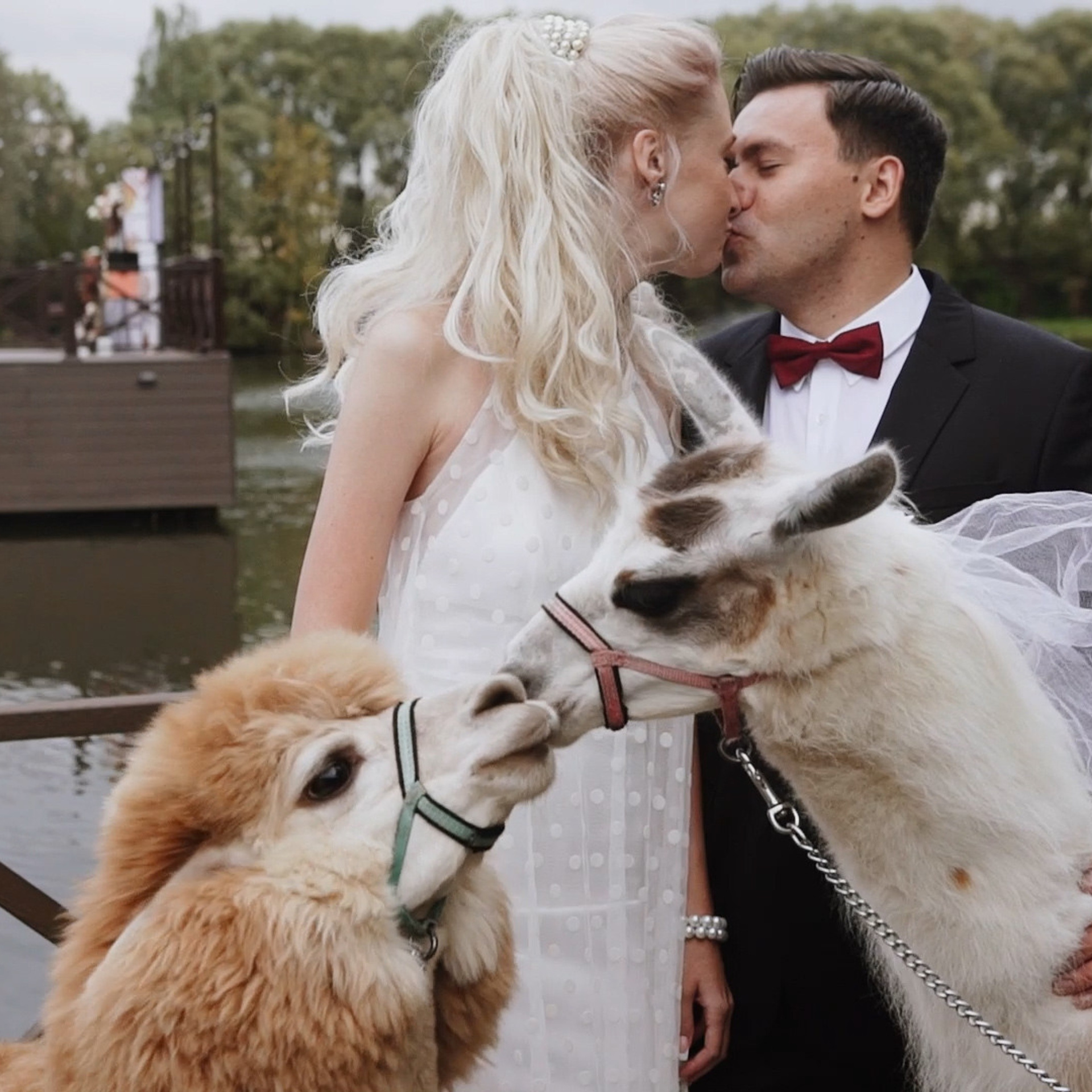 Отзывы. Видеограф Каменецкий Константин