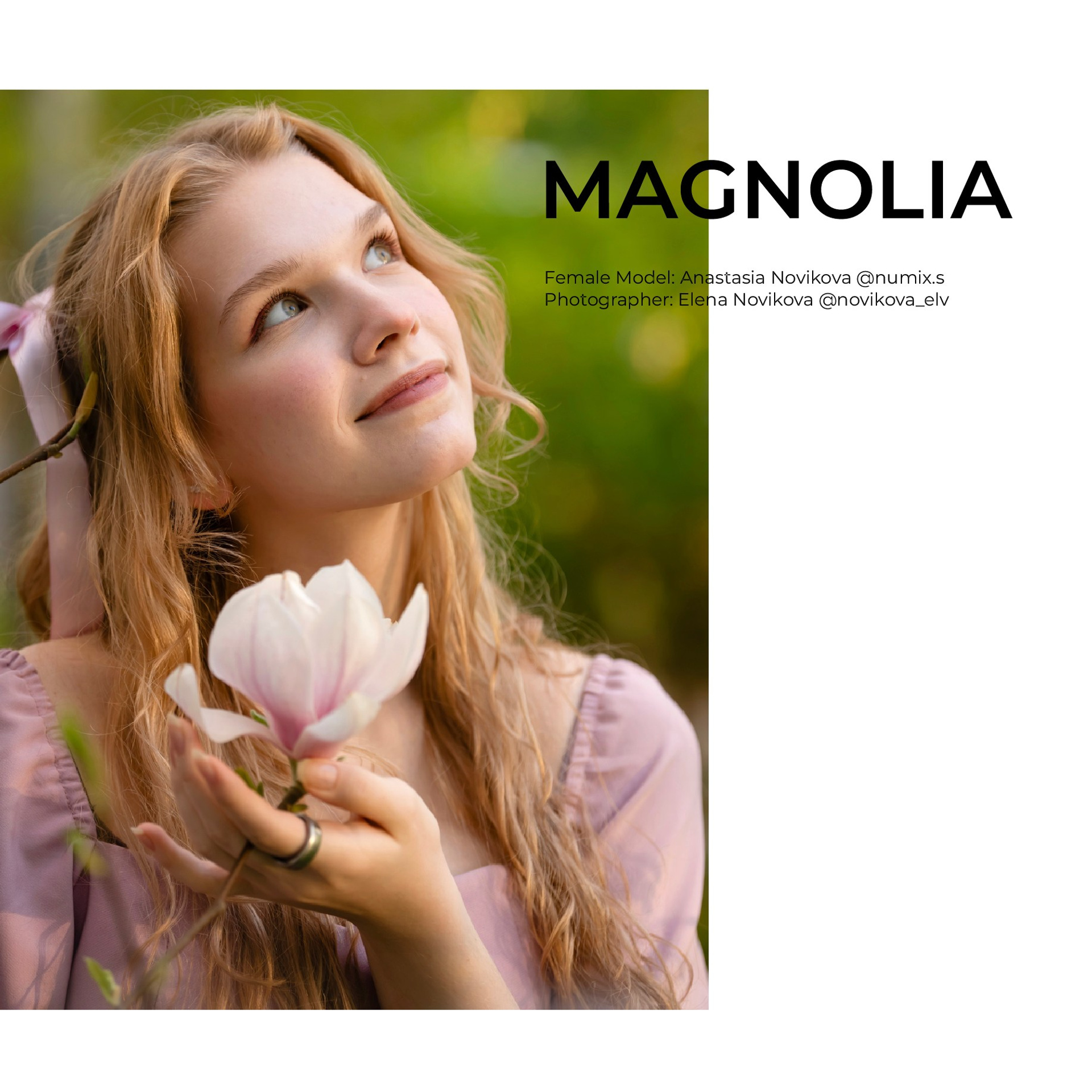 Magnolia_Figgi