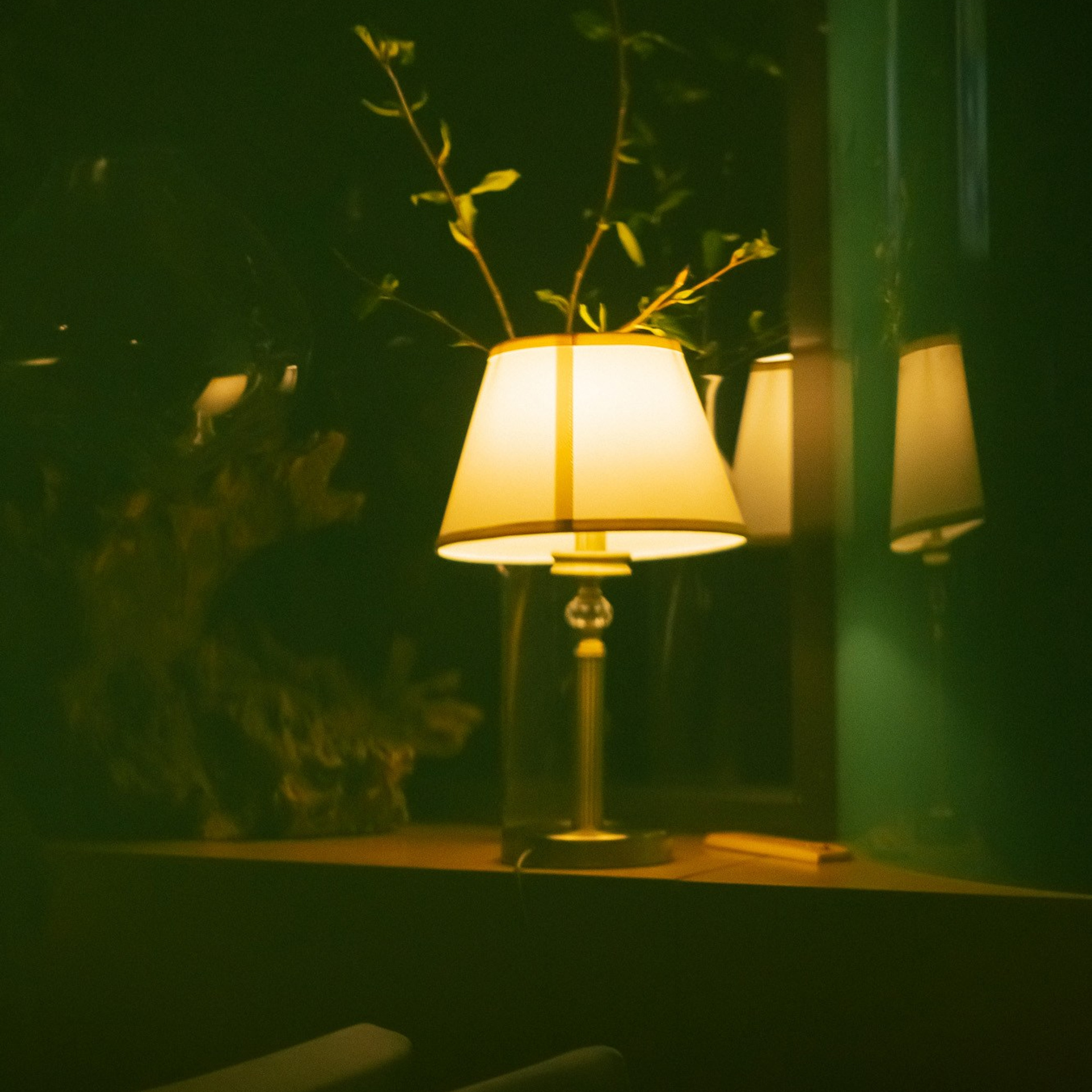 Атмосферные фотографии без вспышки