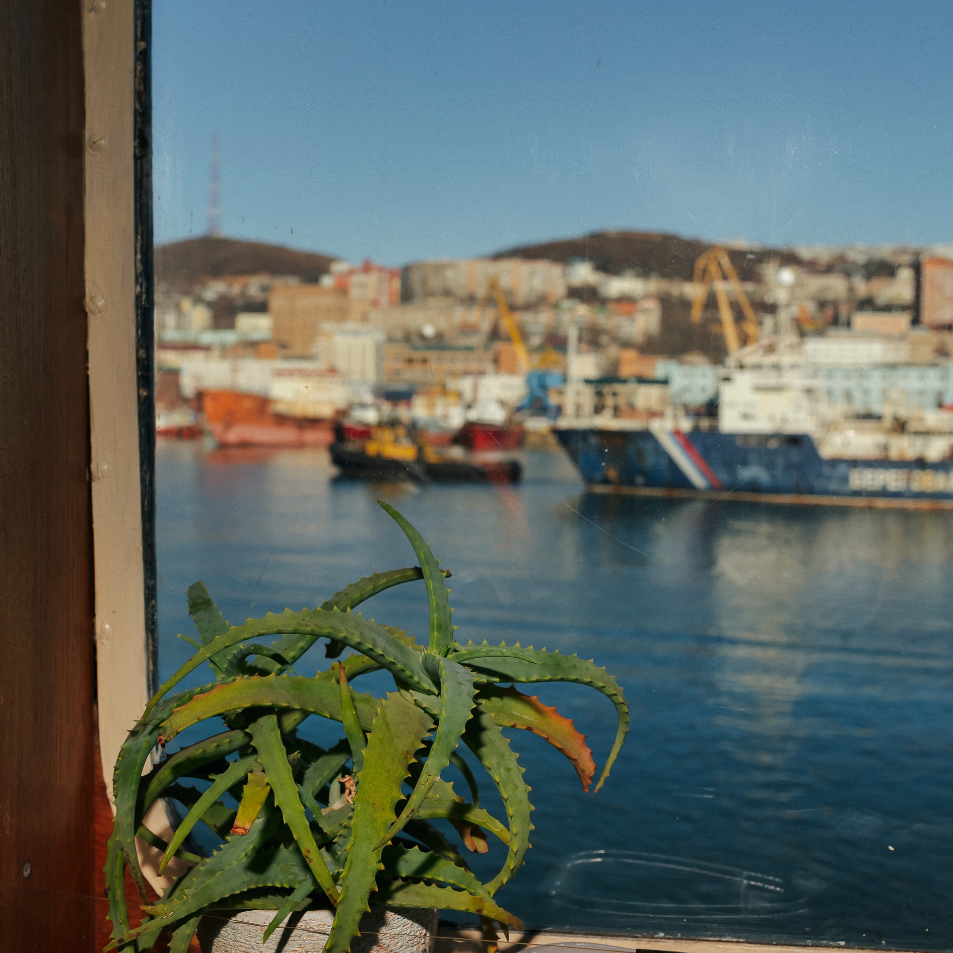 ТИХРЫБКОМ 2022