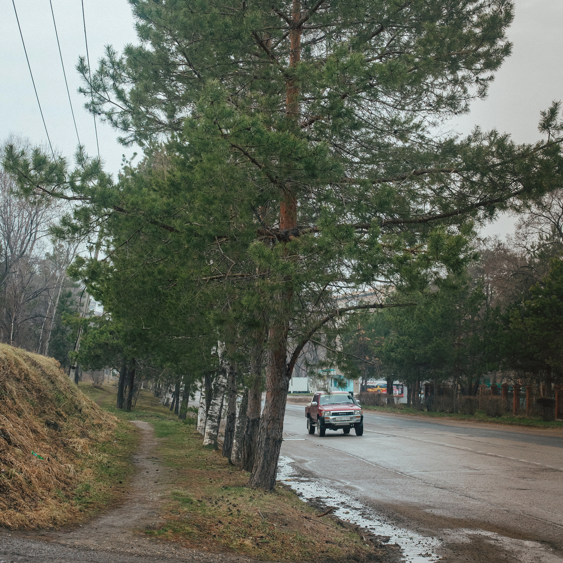 Лесозаводск 2022