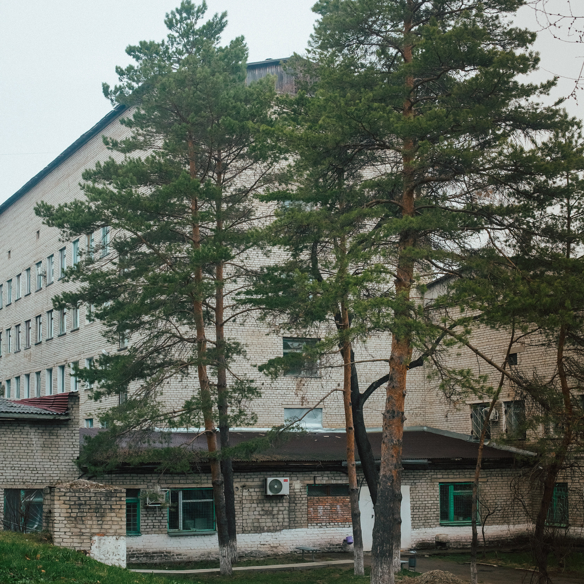 Лесозаводск 2022