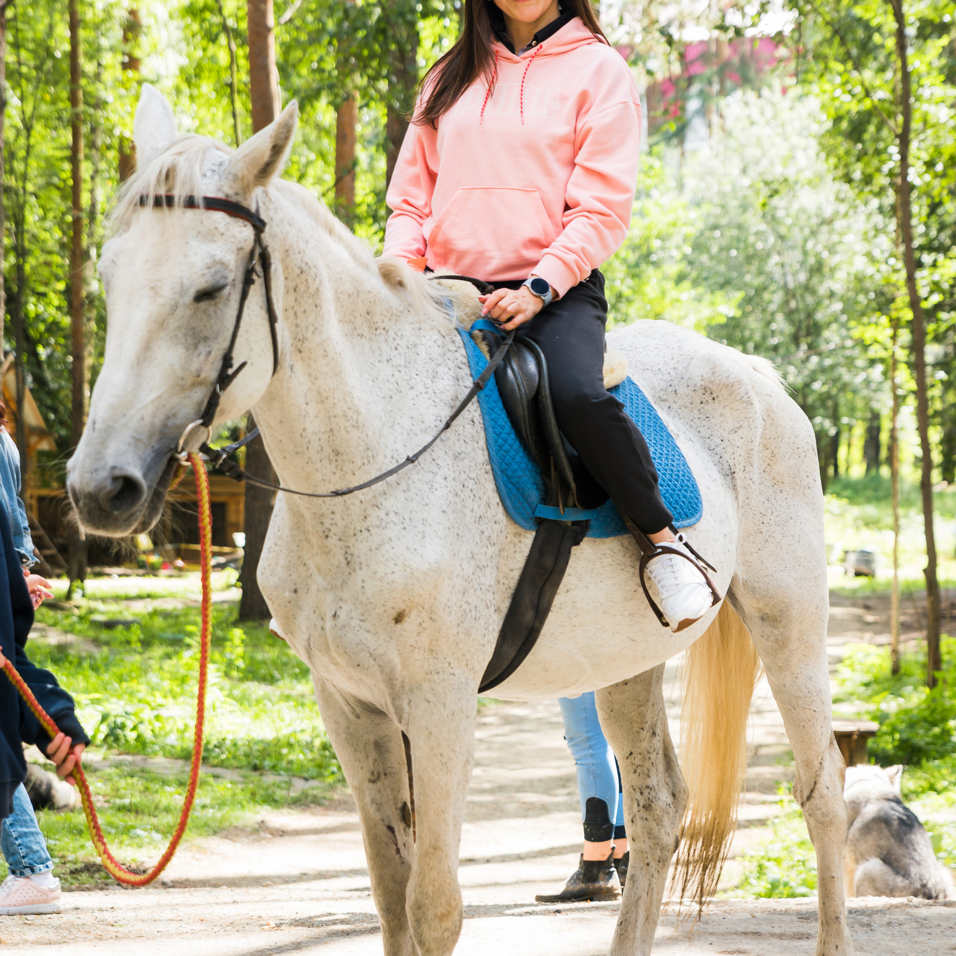 Корпоратив в конном клубе. Студия коммерческой съемки ХВОЯ