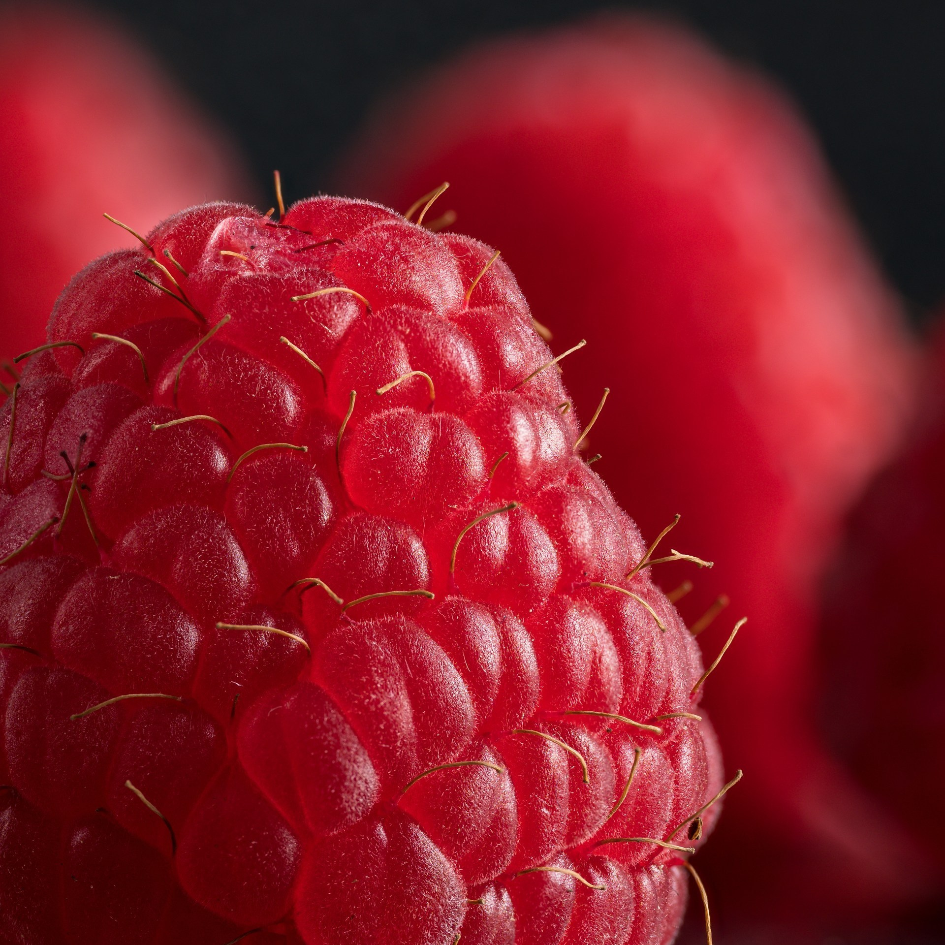 FOOD-съемка в Екатеринбурге. Студия коммерческой съемки ХВОЯ