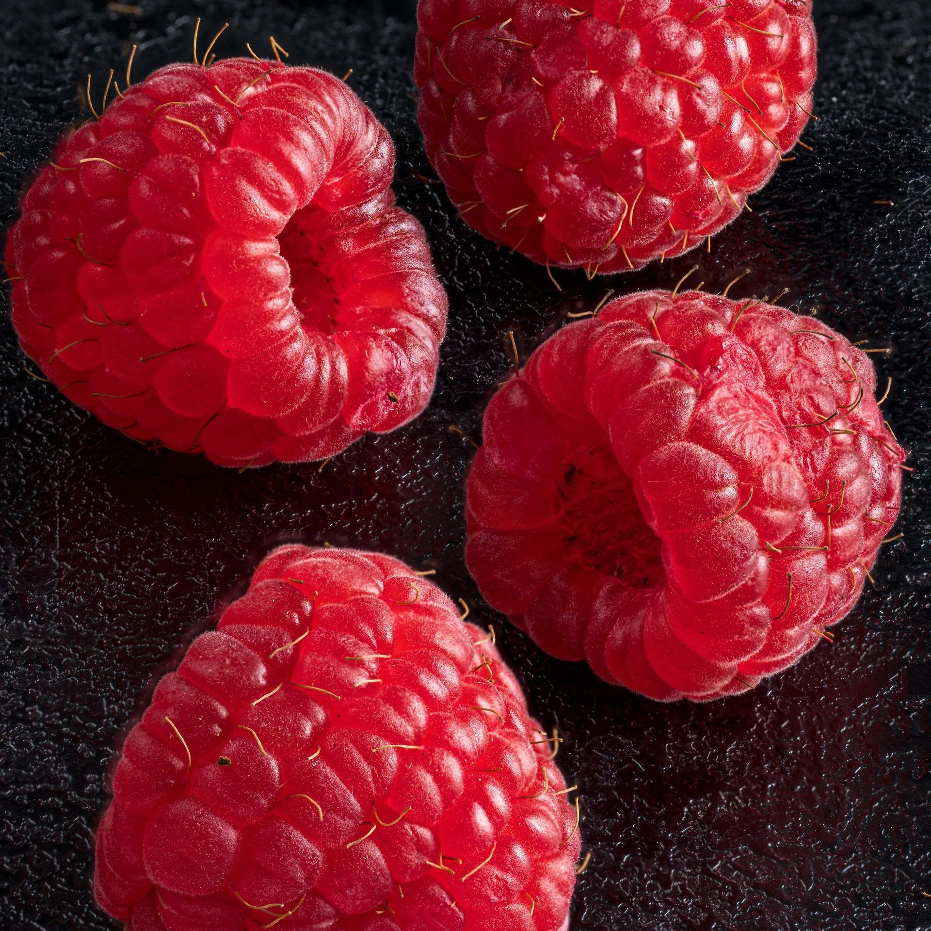 FOOD-съемка в Екатеринбурге. Студия коммерческой съемки ХВОЯ