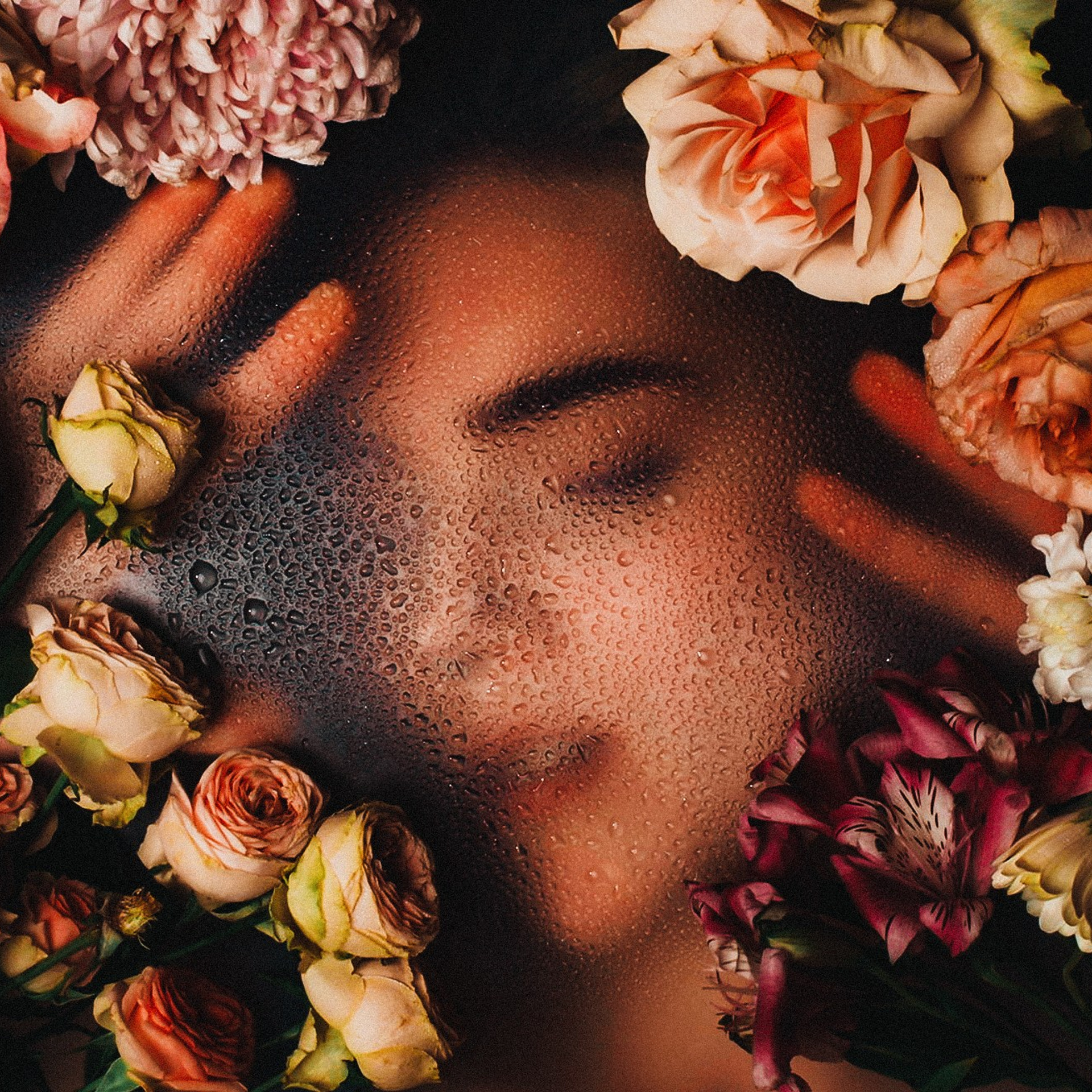 Цветы лучше