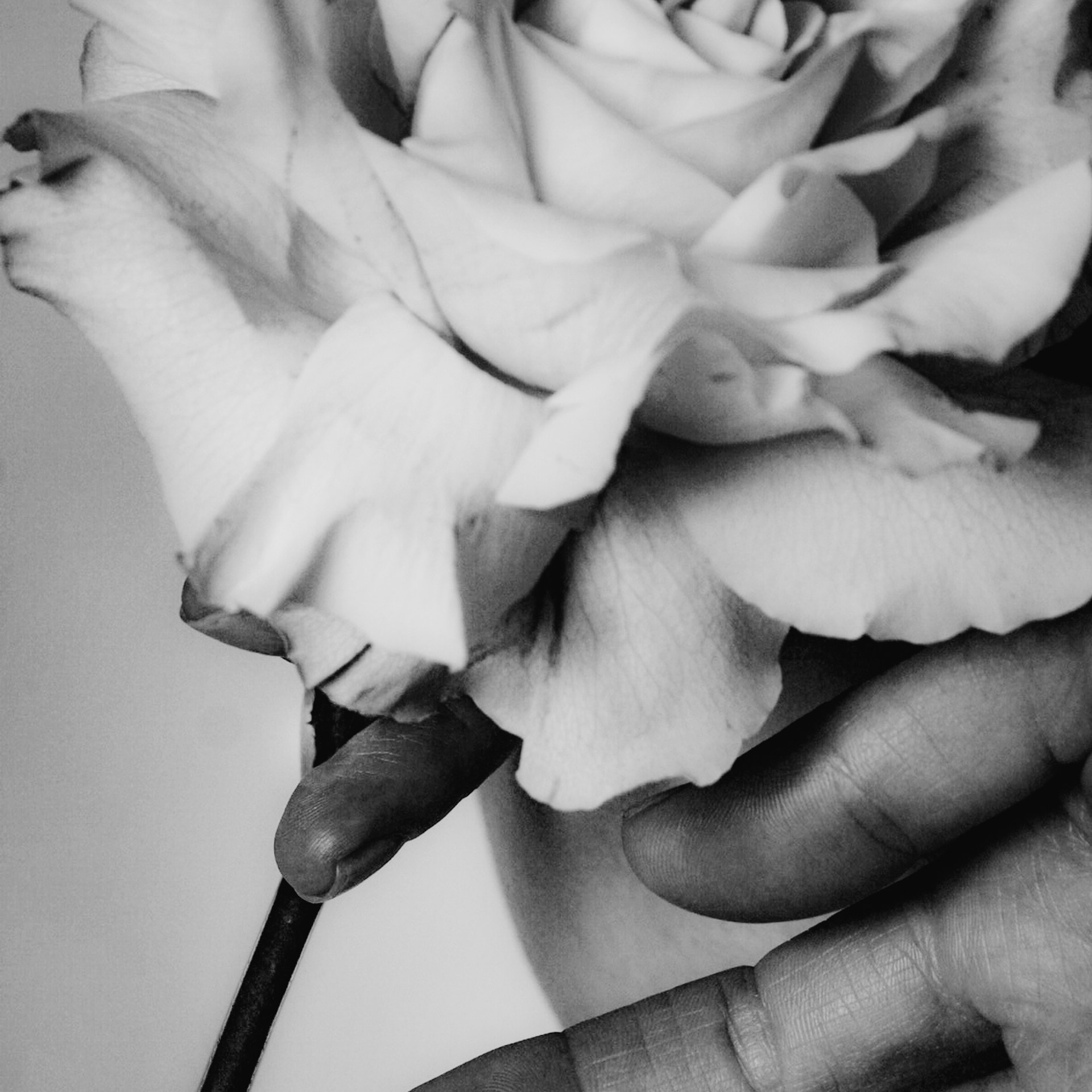 Цветы лучше. Женя Красовская | Портретный Фотограф | Визуал для брендов