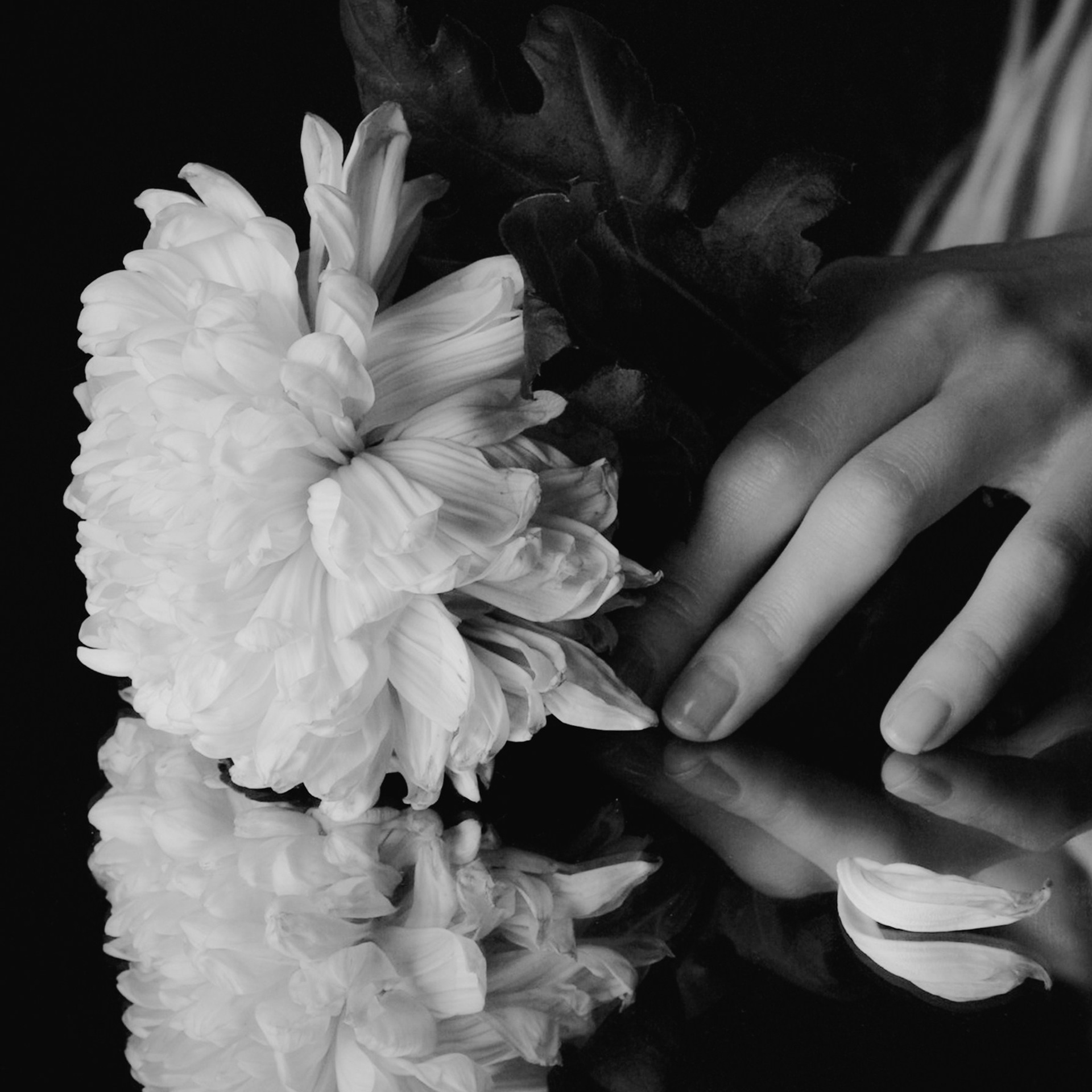 Цветы лучше. Женя Красовская | Портретный Фотограф | Визуал для брендов