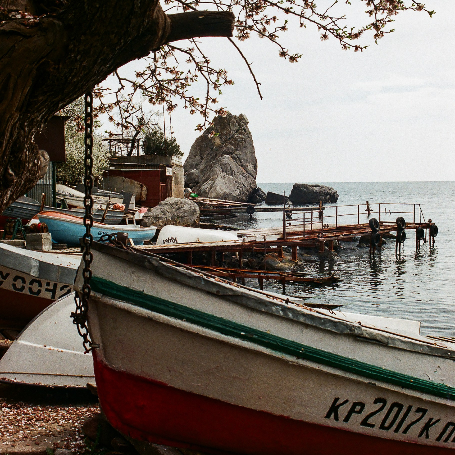 On film. Женя Красовская | Фотограф | Визуал для брендов