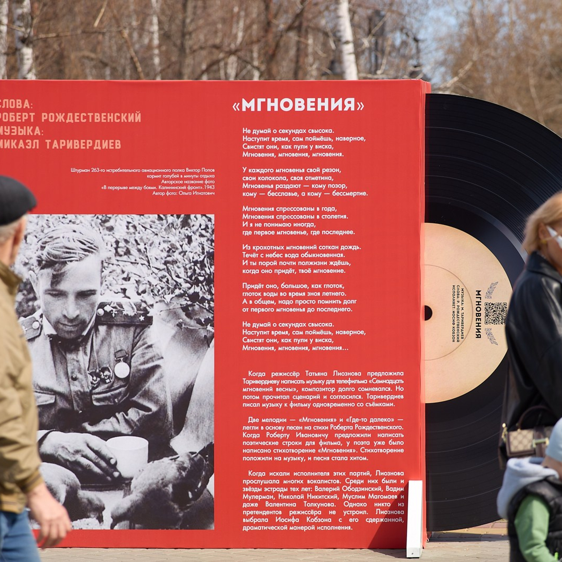 Мгновения в кадре 