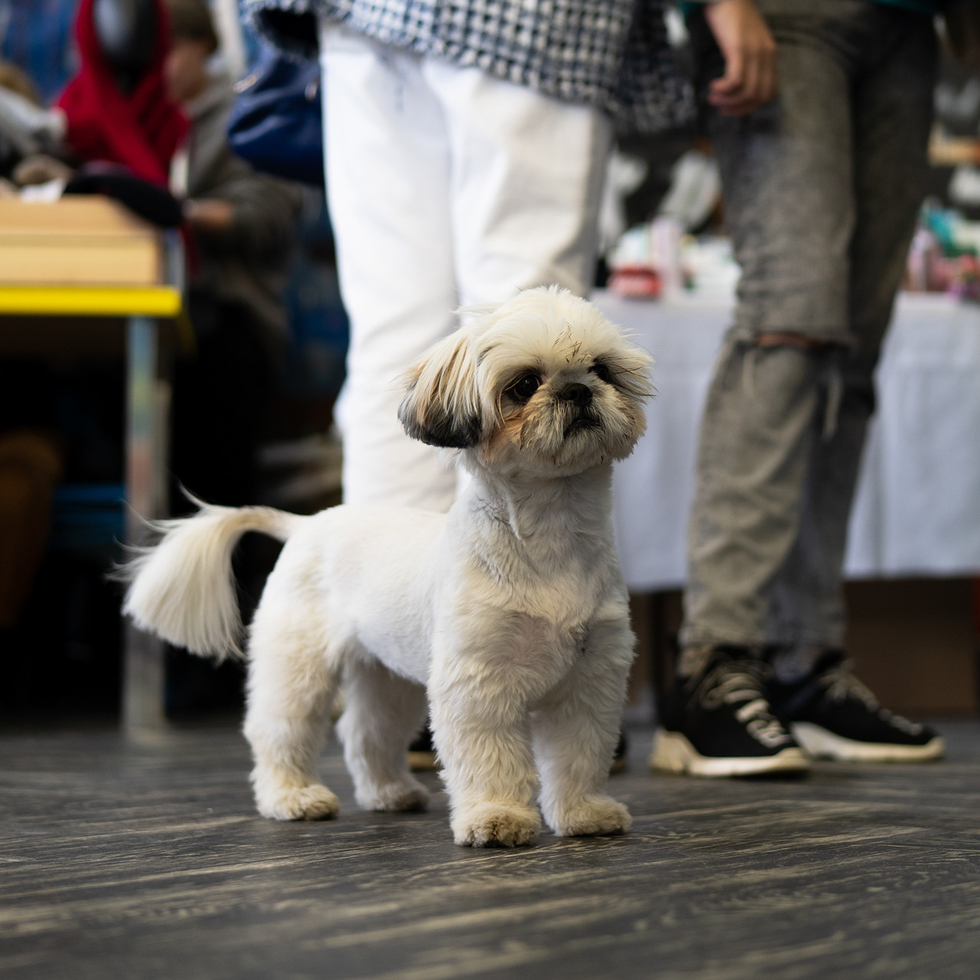 Экофестиваль