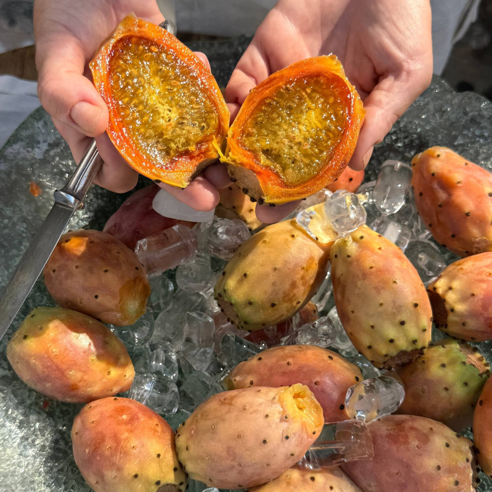 Датча Турция — отдых у моря, уникальные места и путеводитель от свадебного фотографа. Фотограф Краснодар, Майкоп — Мария Оводова | Современная свадебная и семейная фотография