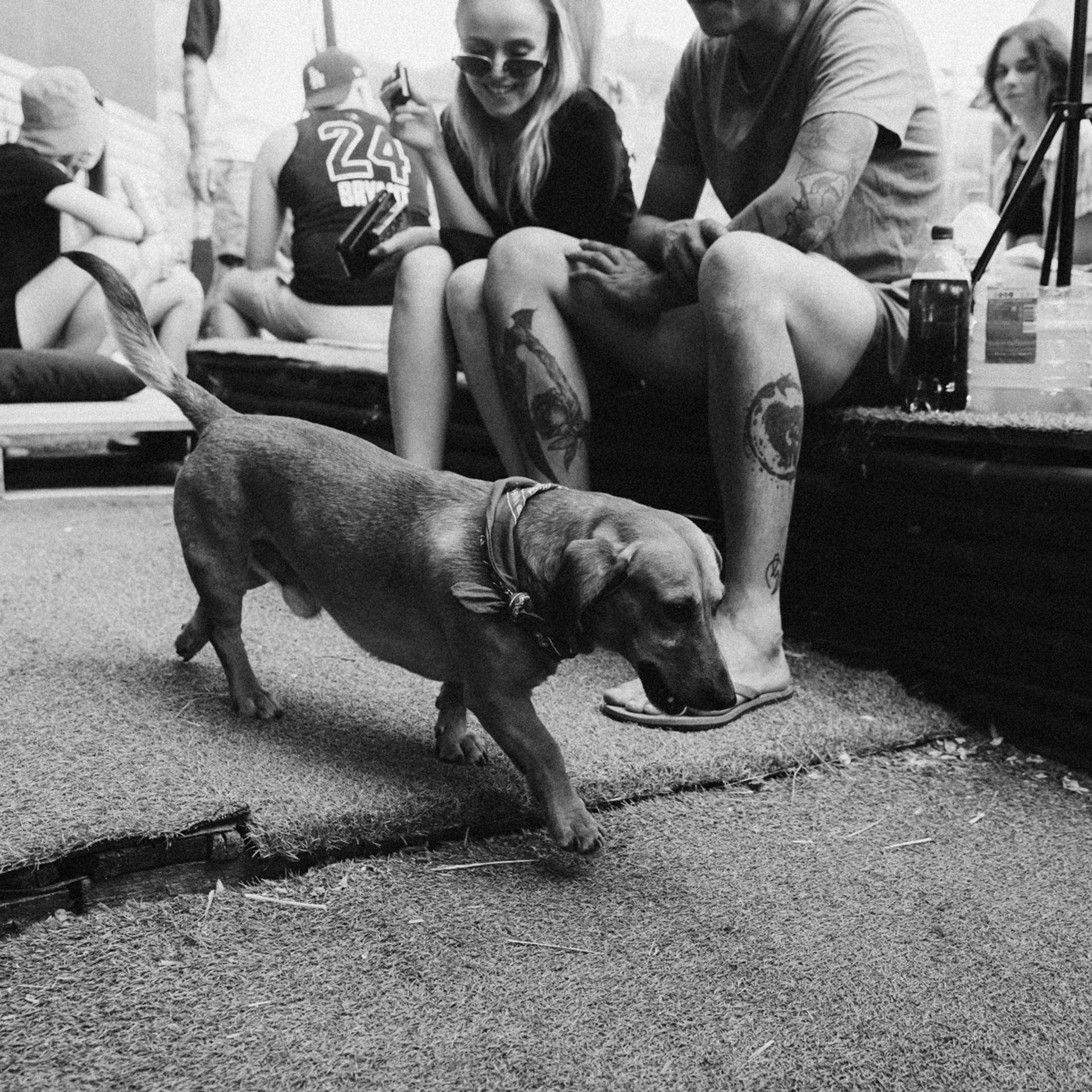 Отзывы. Фотограф Максим Маркелов