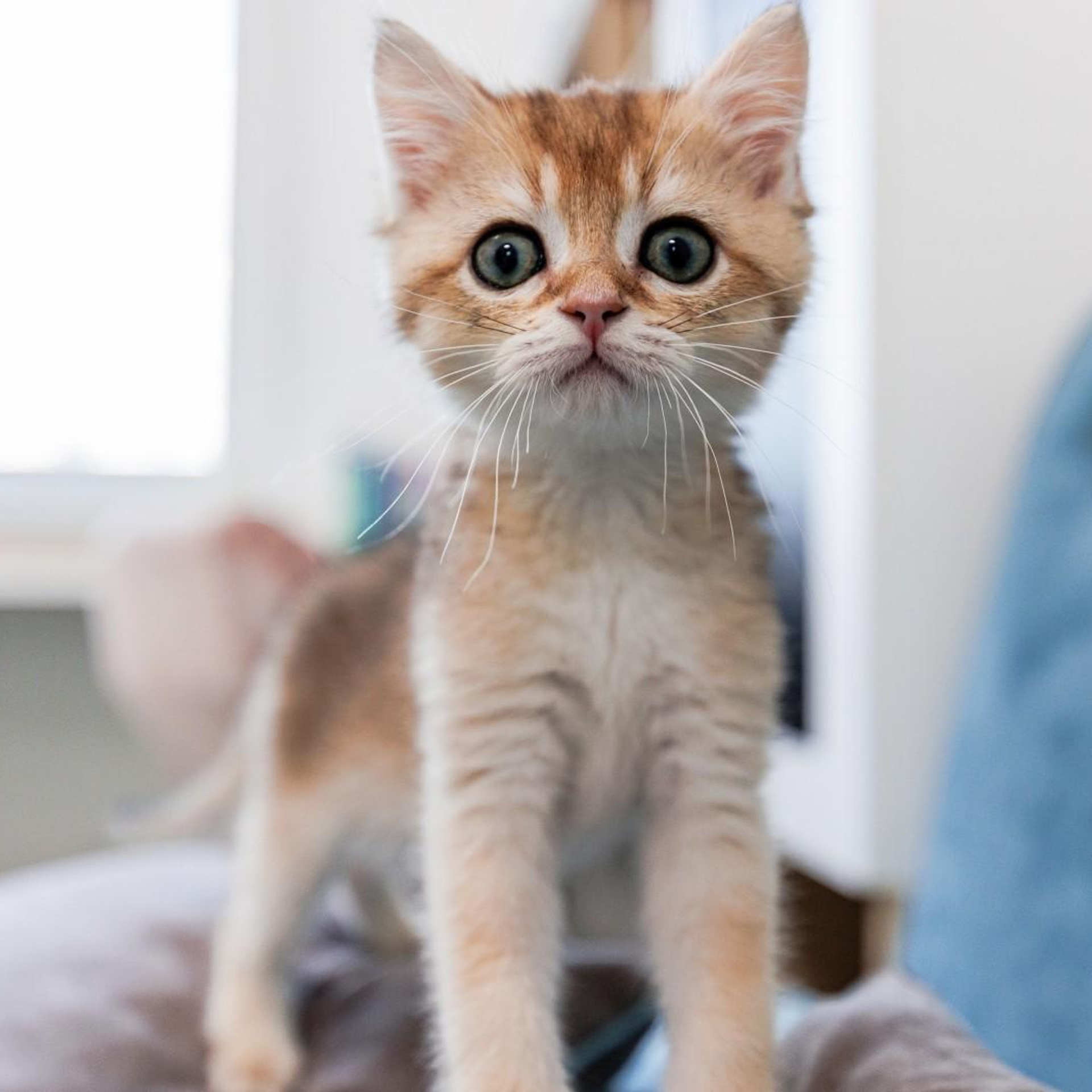 Отзывы. Свадебный и репортажный фотограф в Москве и Московской области