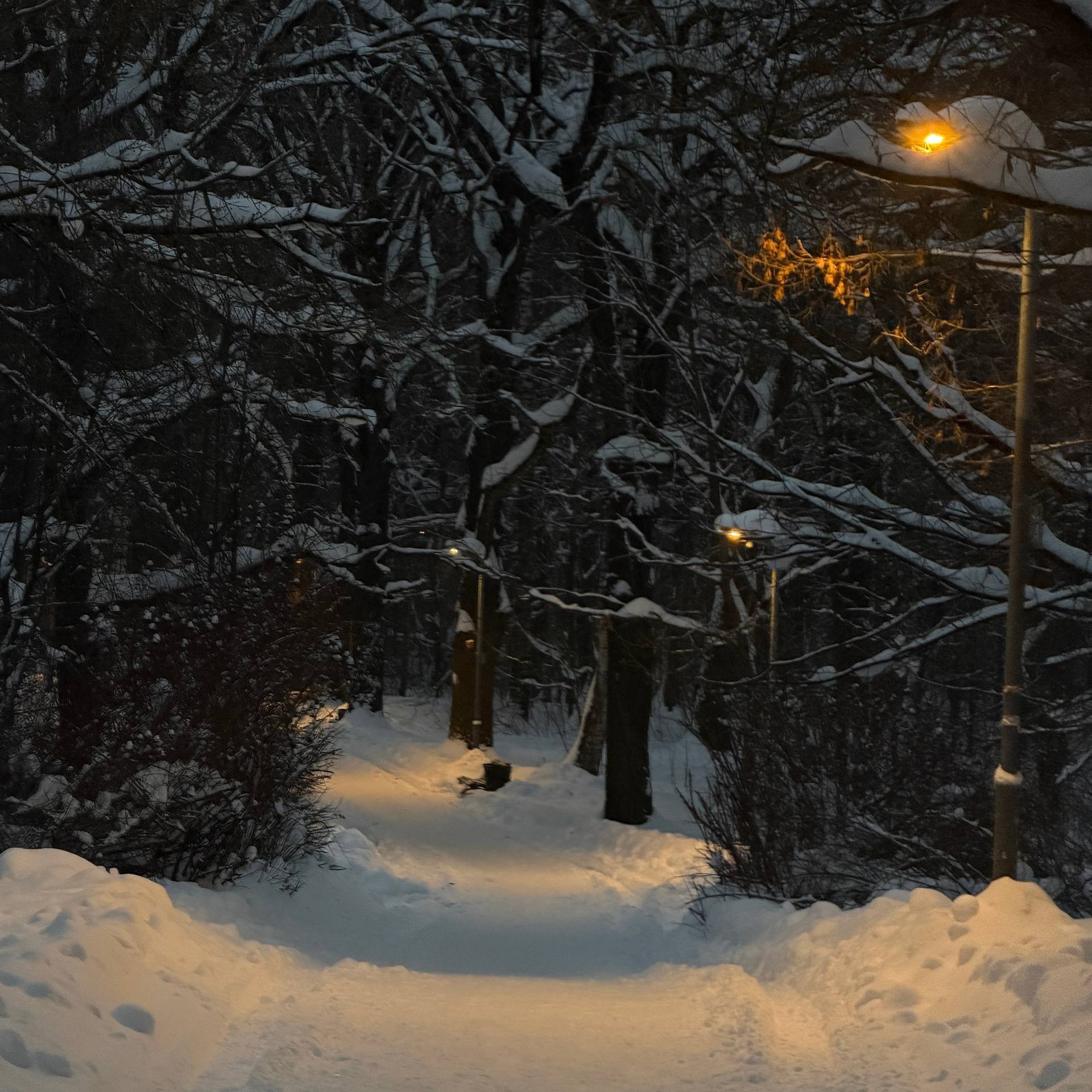 триптих пустой чашки кофе